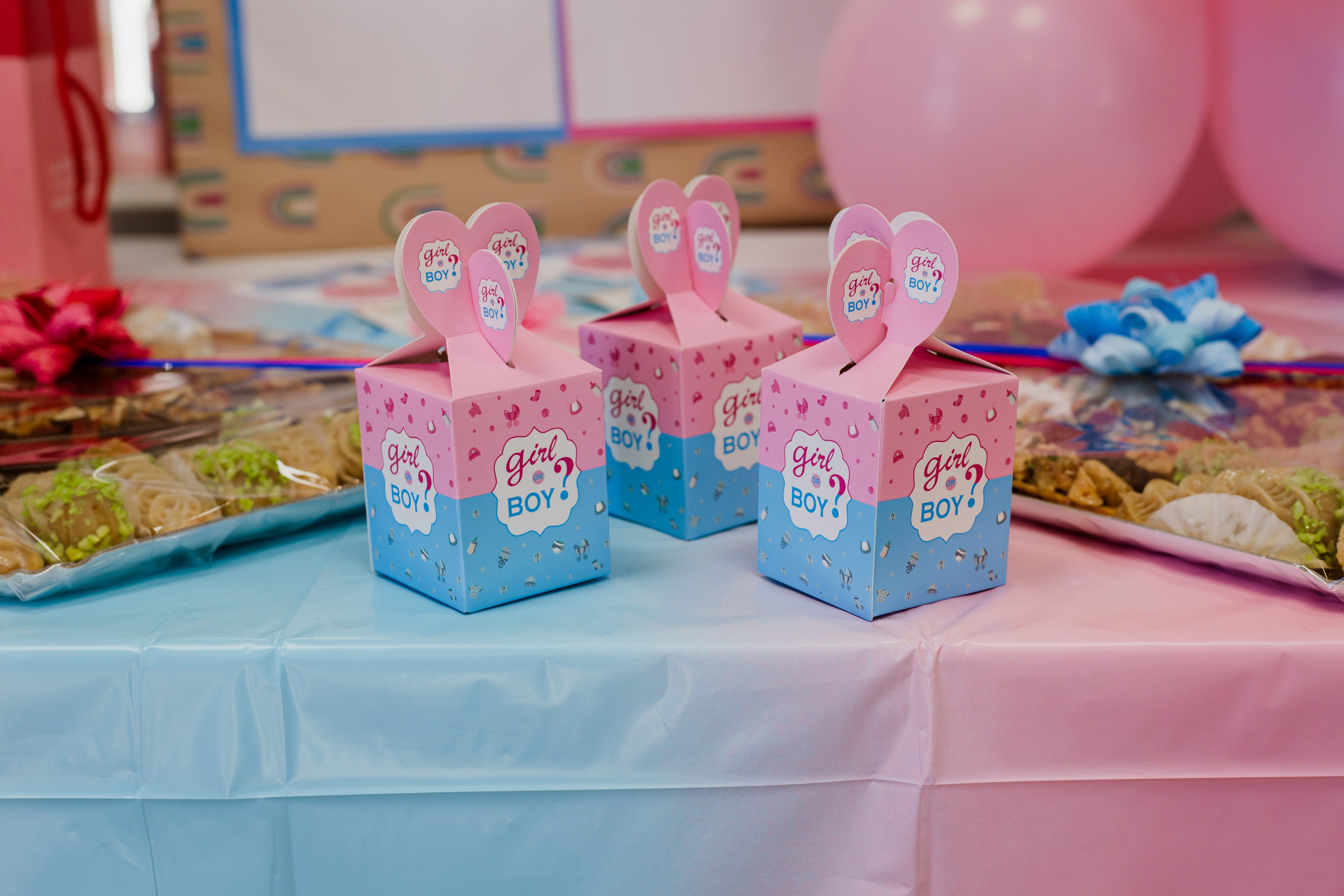 Baby Shower à Perpignan. Photographe professionnelle à Poitiers, Tours et Châtellerault | Studio photo entre Poitiers et Tours – portraits, familles, entreprises, ma