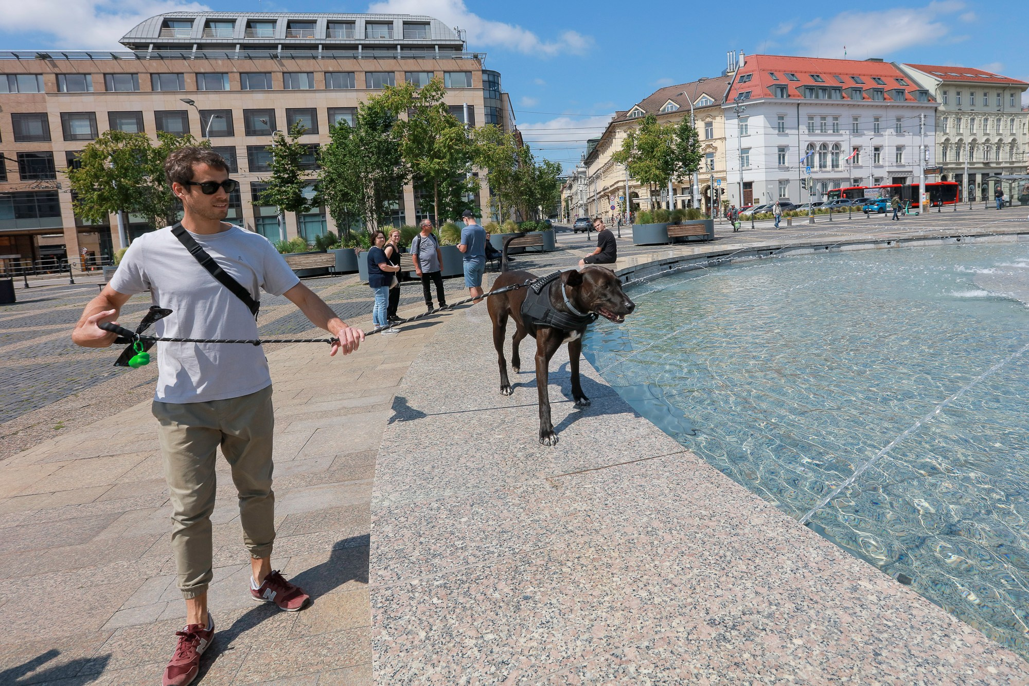 Environment. Reportage photographer Bratislava | Репортажний фотограф Братислава
