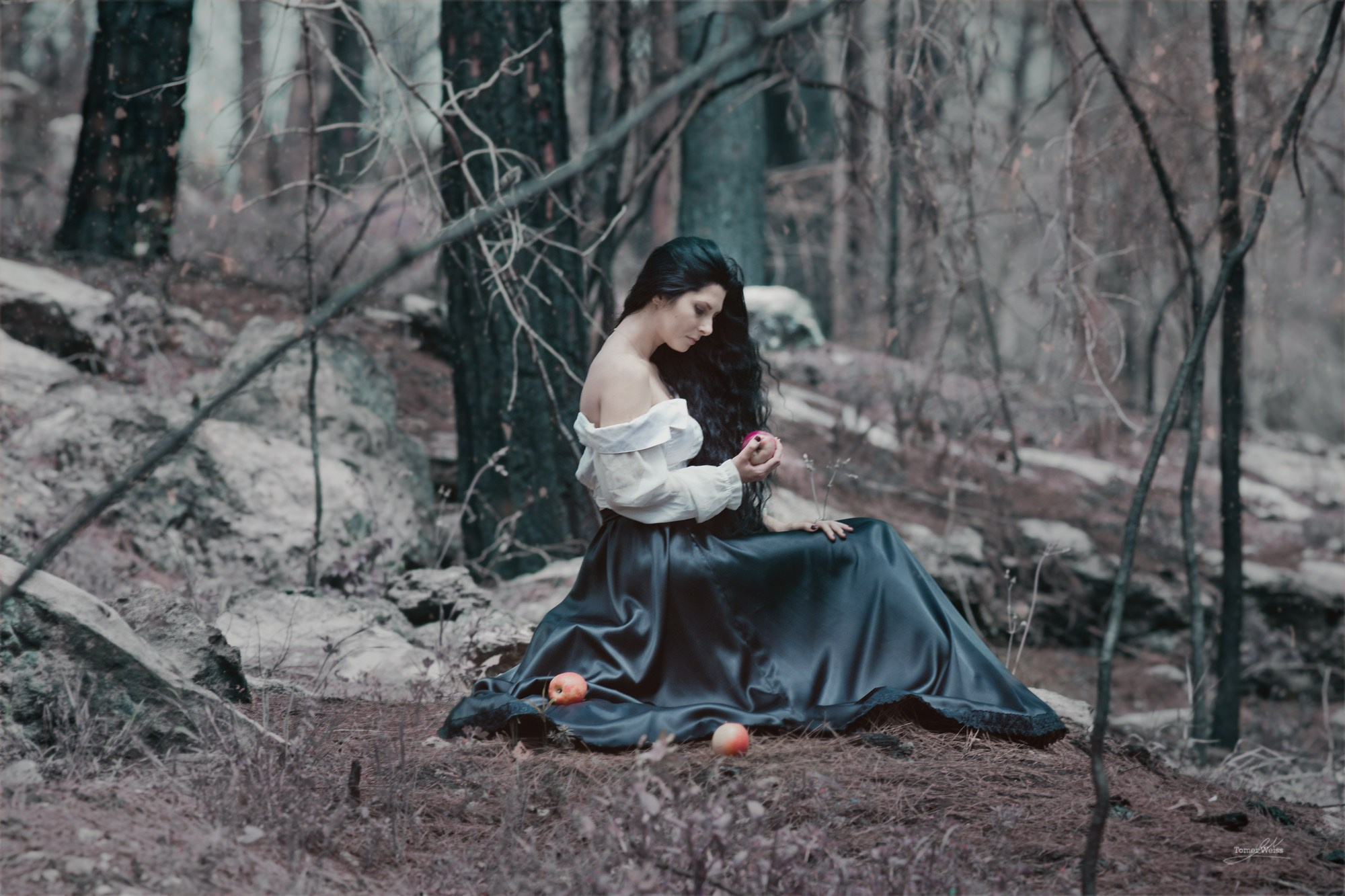 Fine Art Image gallery of Tomer Weiss Fine art