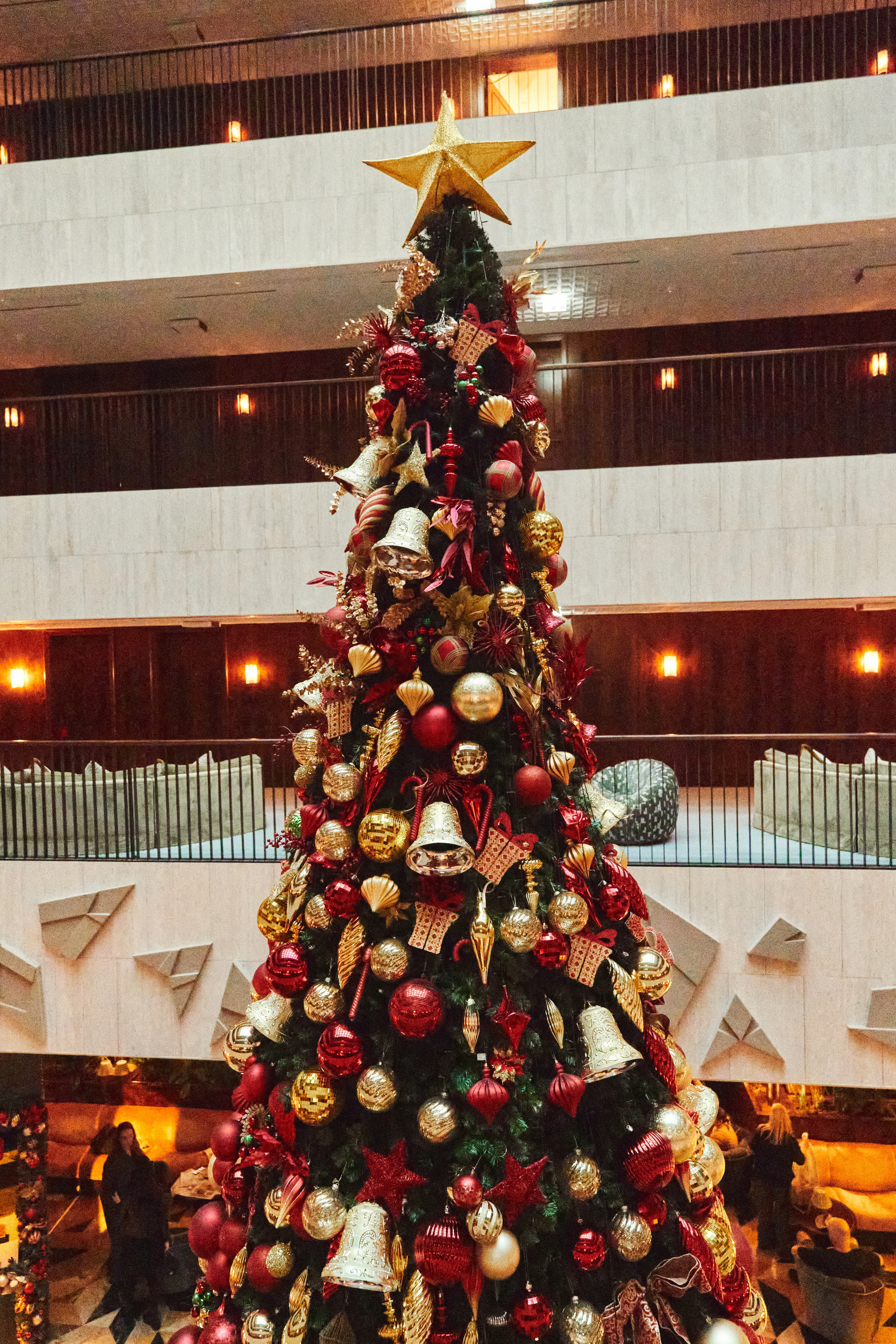 Photographer in Doha, Qatar