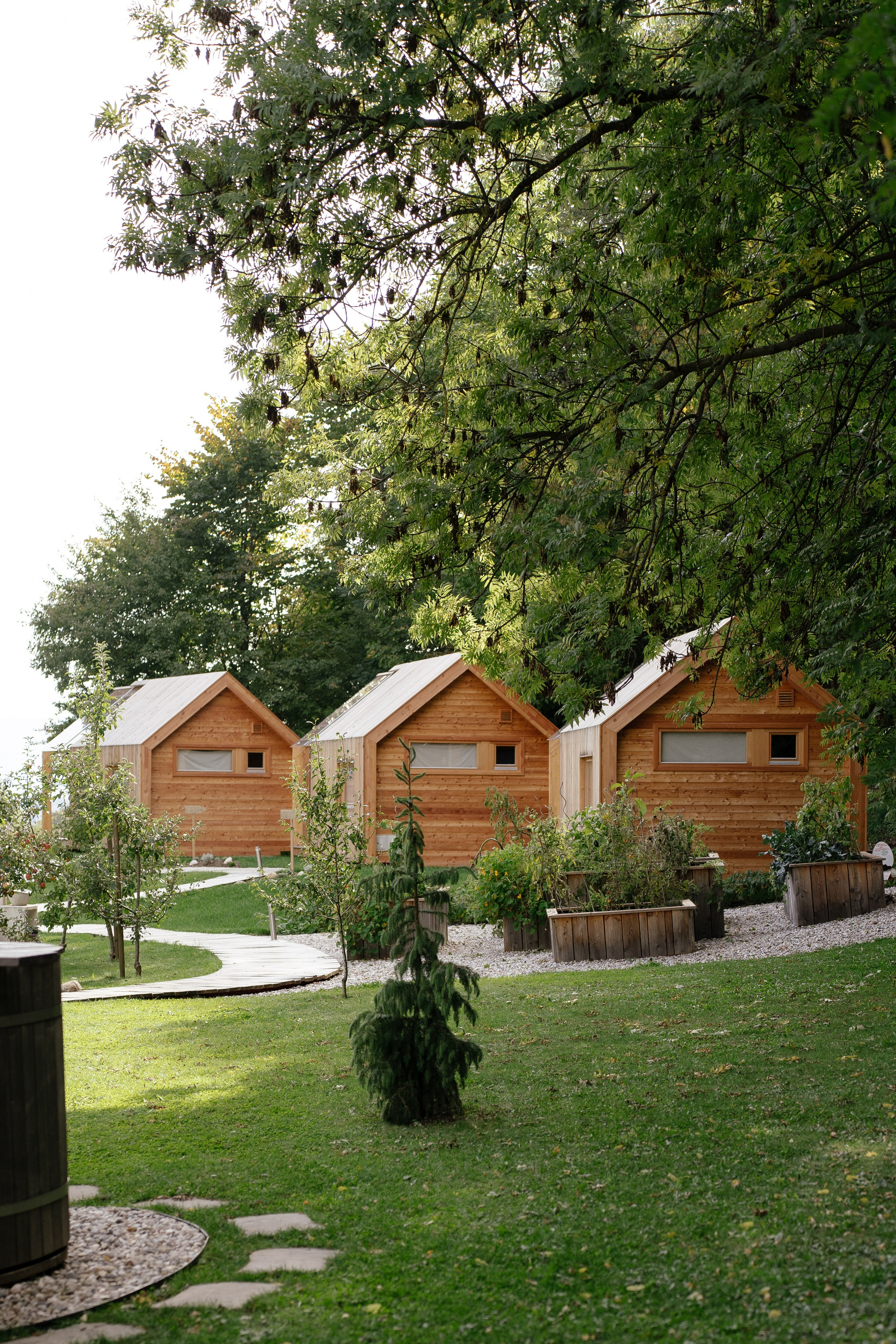 Airbnb. Patricia Morenci — Mountain Adventures for the Wild at Heart