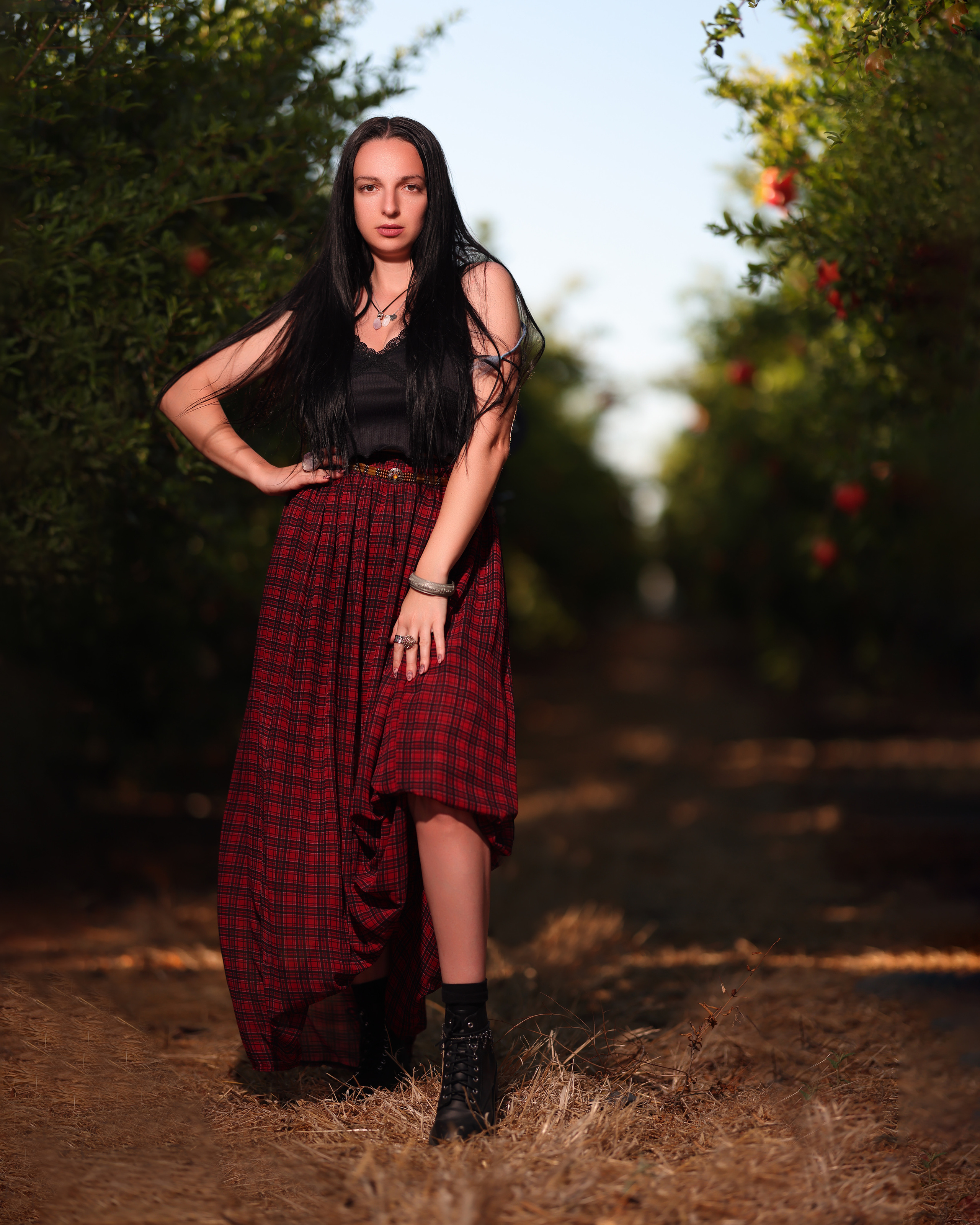 רימון. Time machine Studio