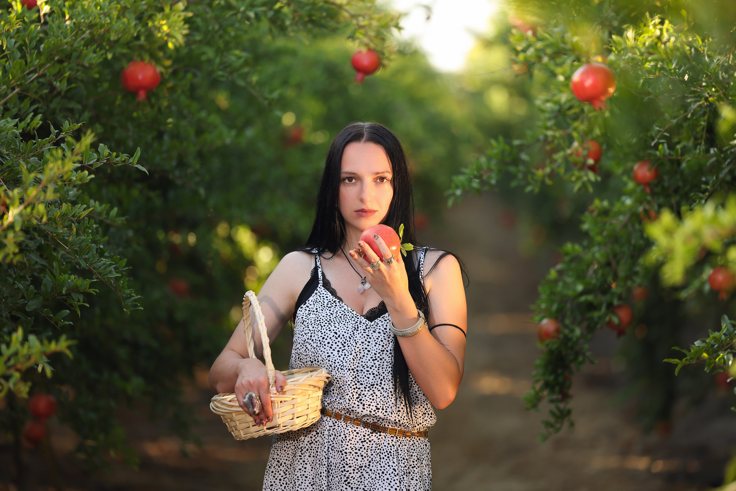 רימון. Time machine Studio