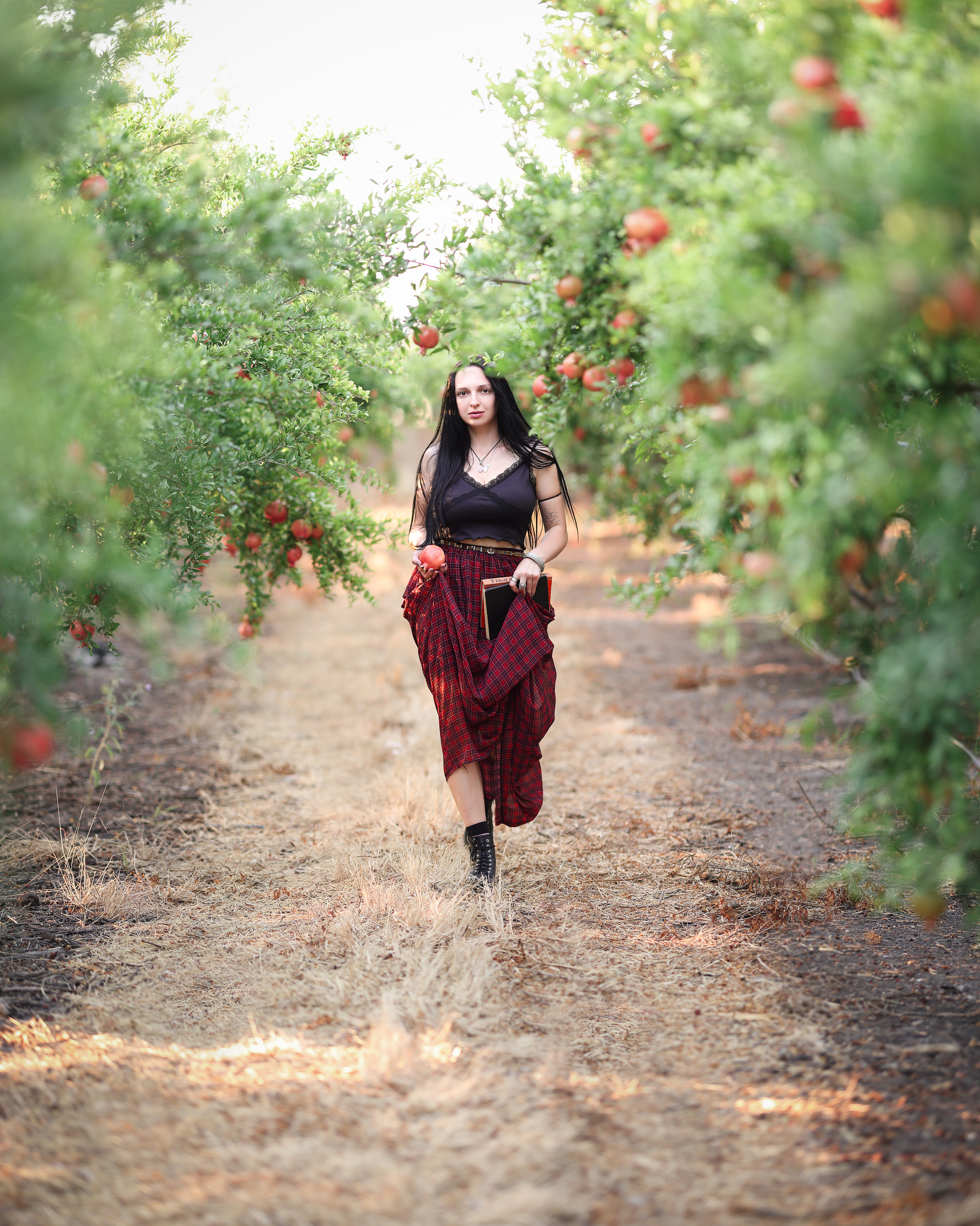 רימון. Time machine Studio