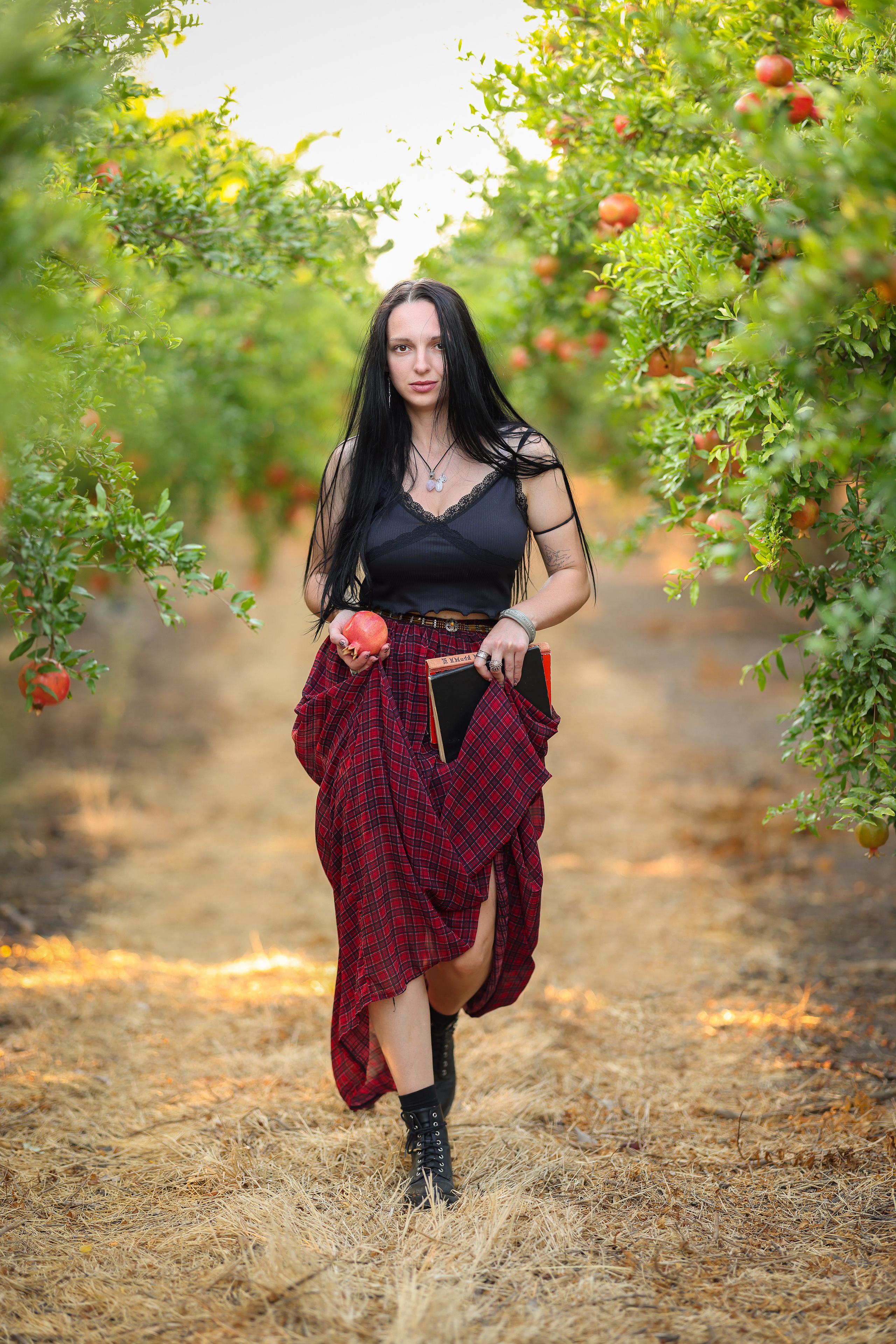 רימון. Time machine Studio