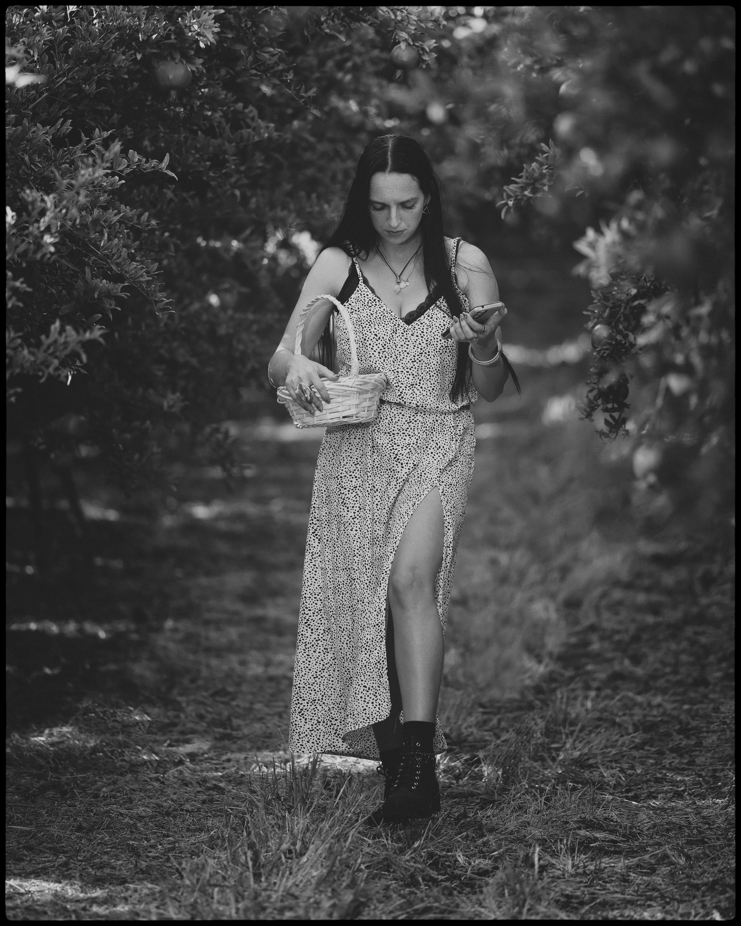 רימון. Time machine Studio