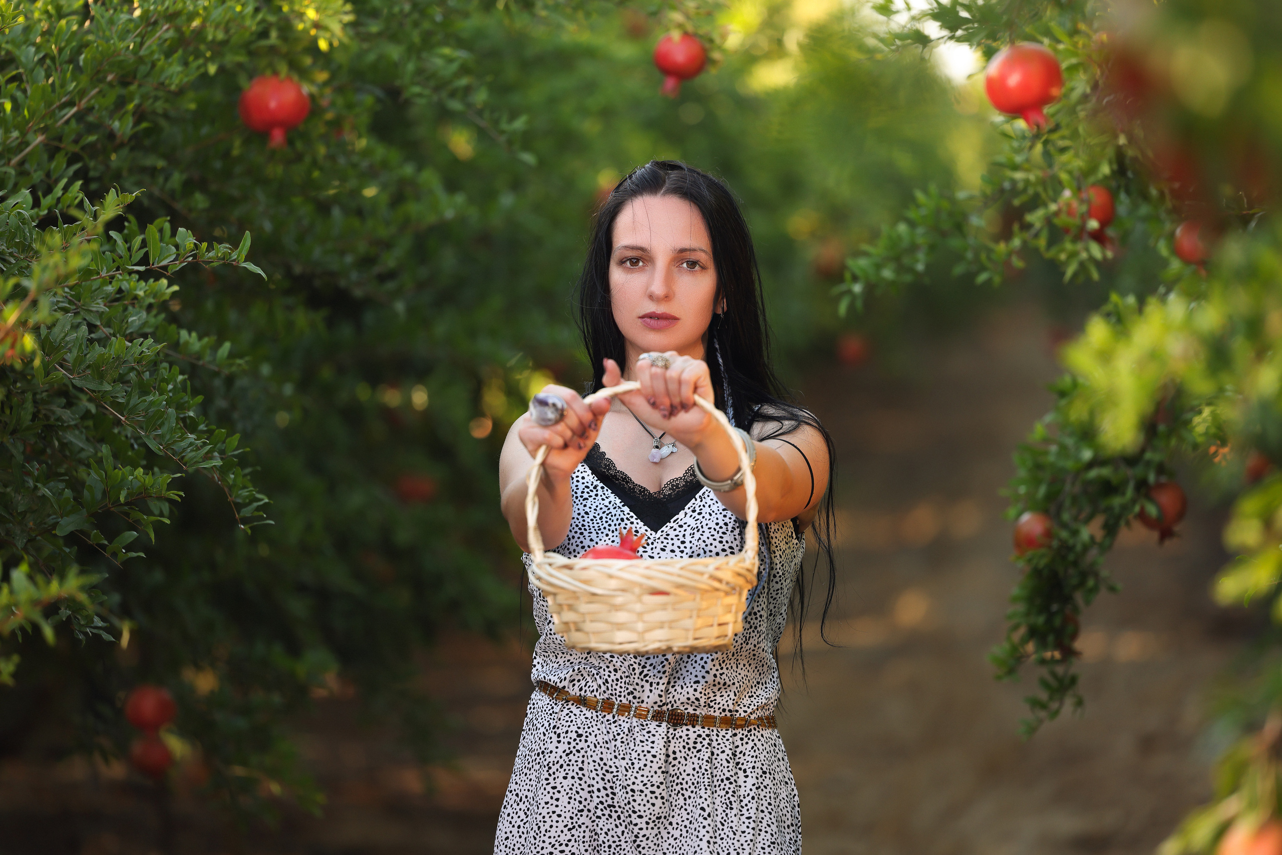 רימון. Time machine Studio