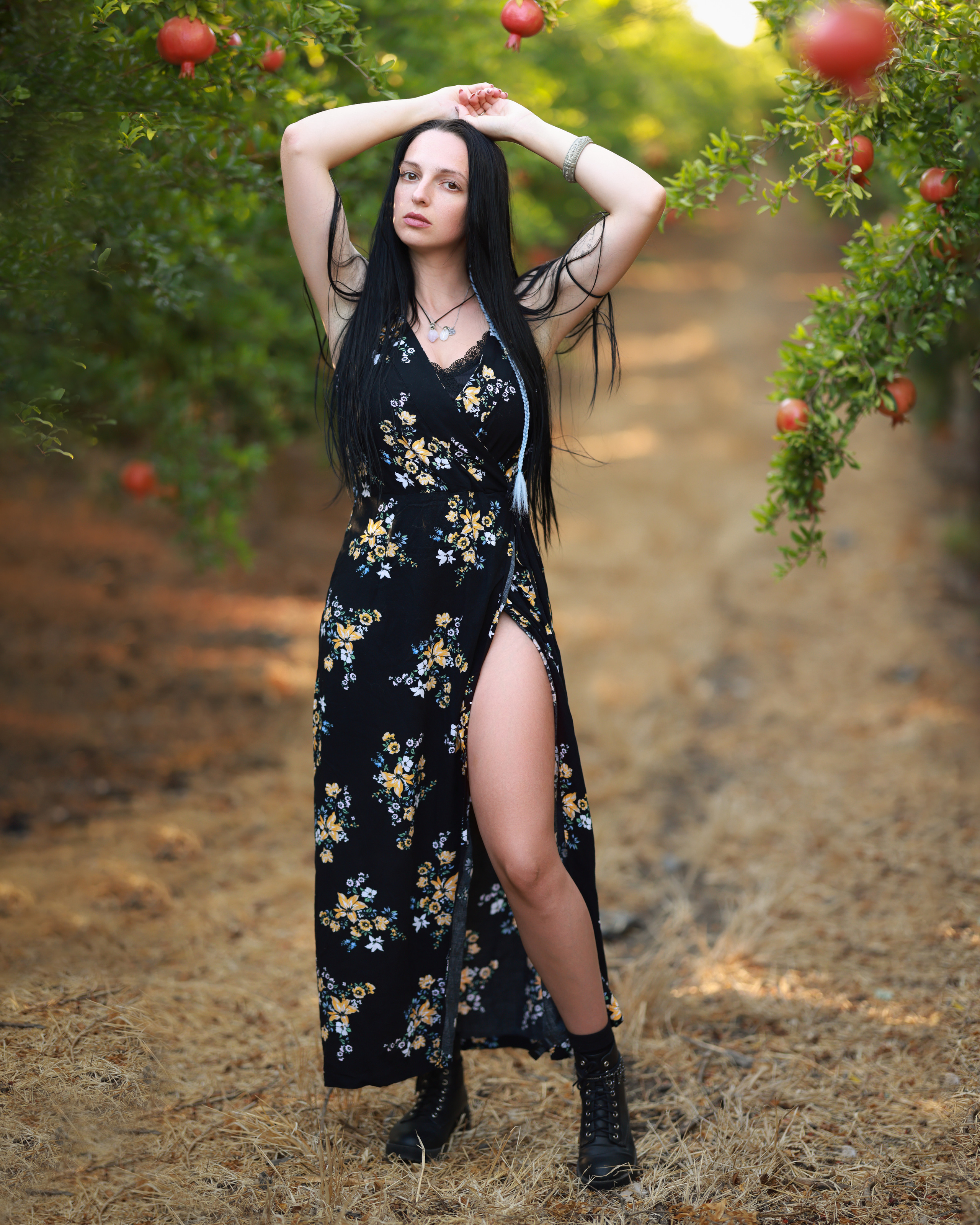 רימון. Time machine Studio