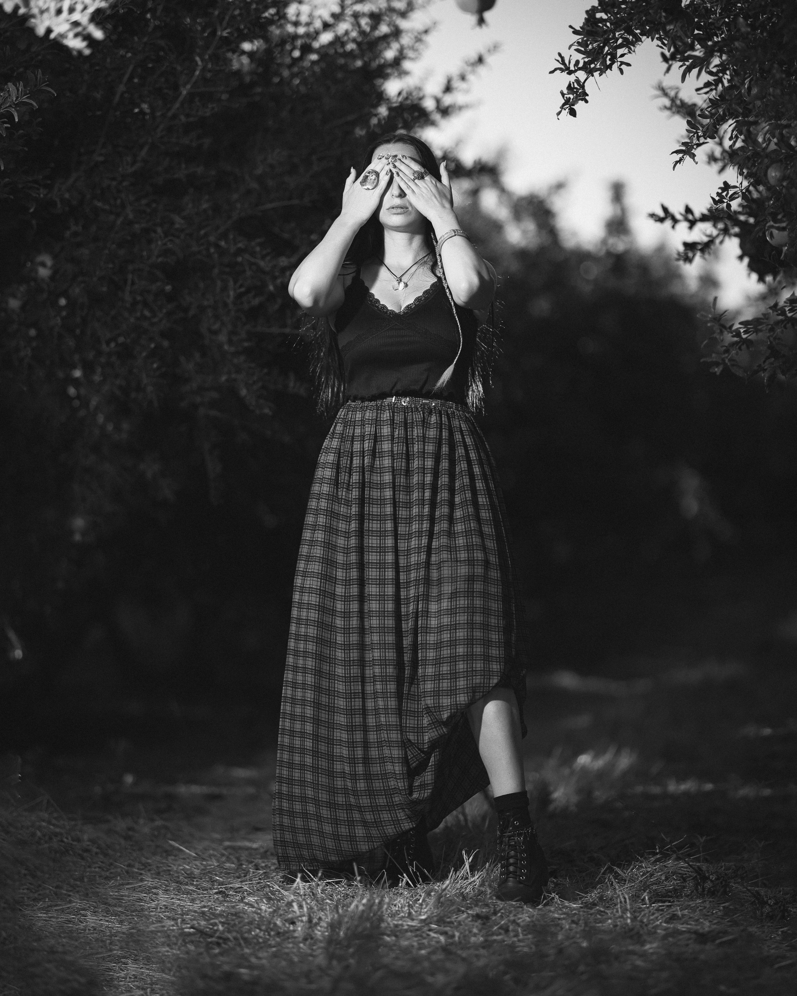 רימון. Time machine Studio