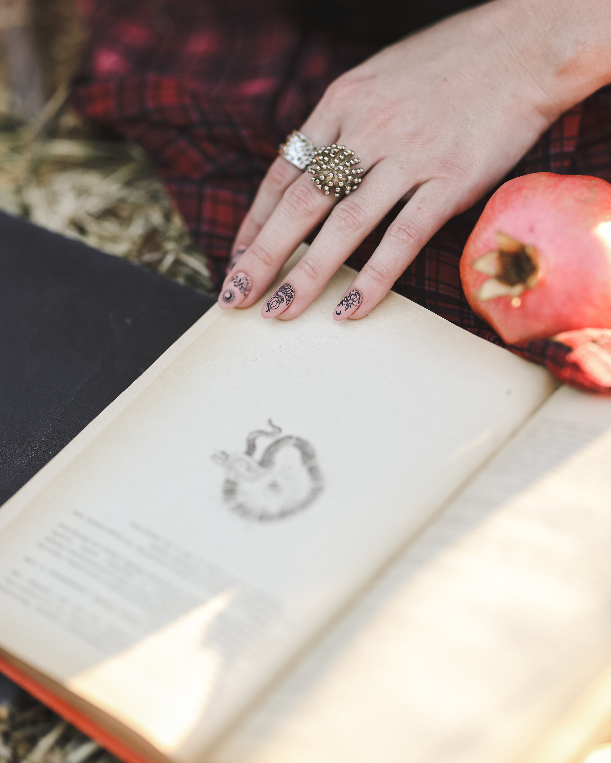 רימון. Time machine Studio