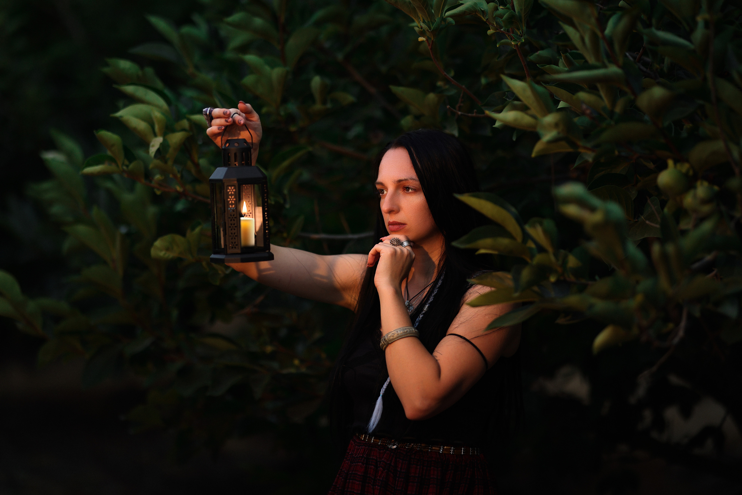 רימון. Time machine Studio