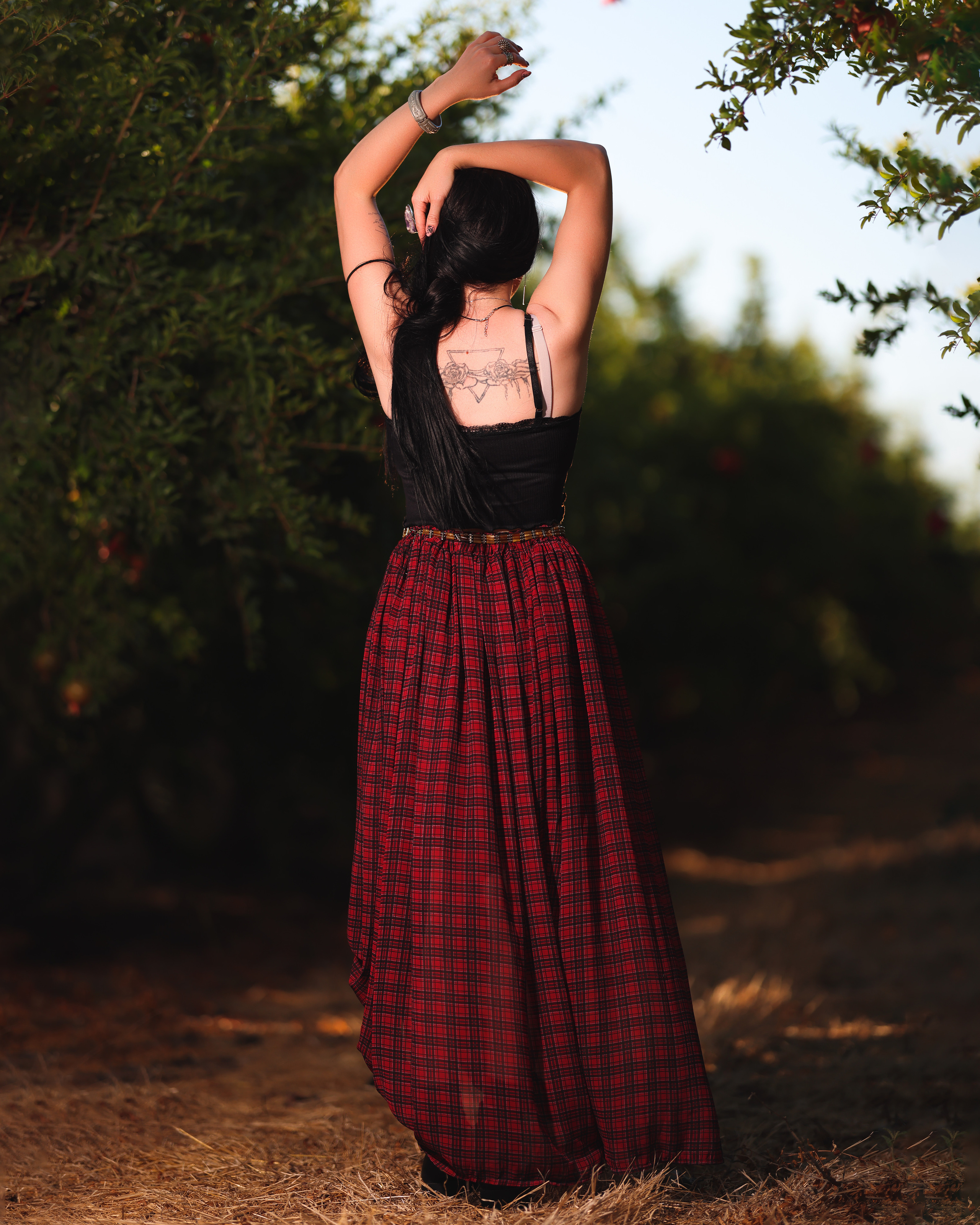 רימון. Time machine Studio