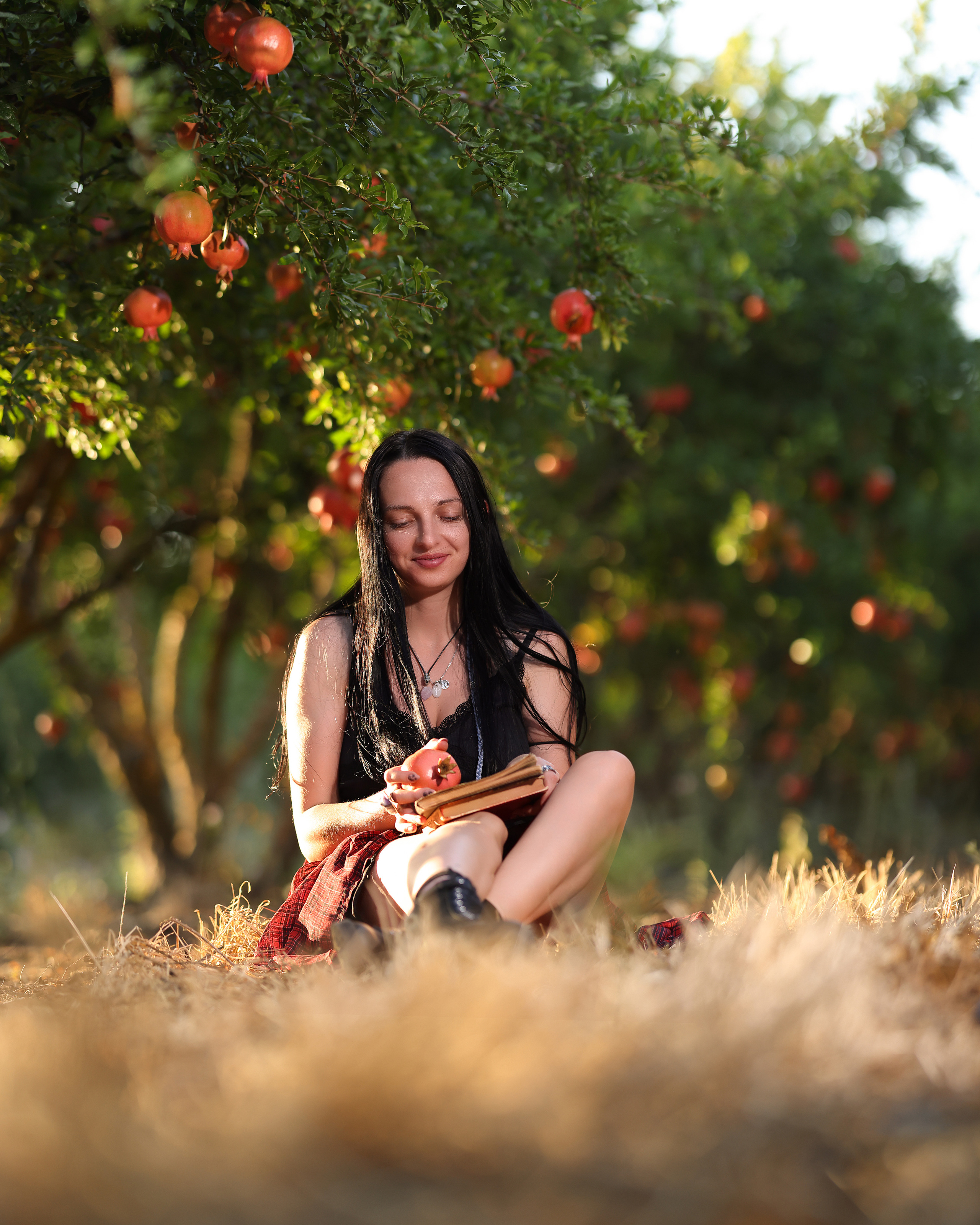 רימון. Time machine Studio