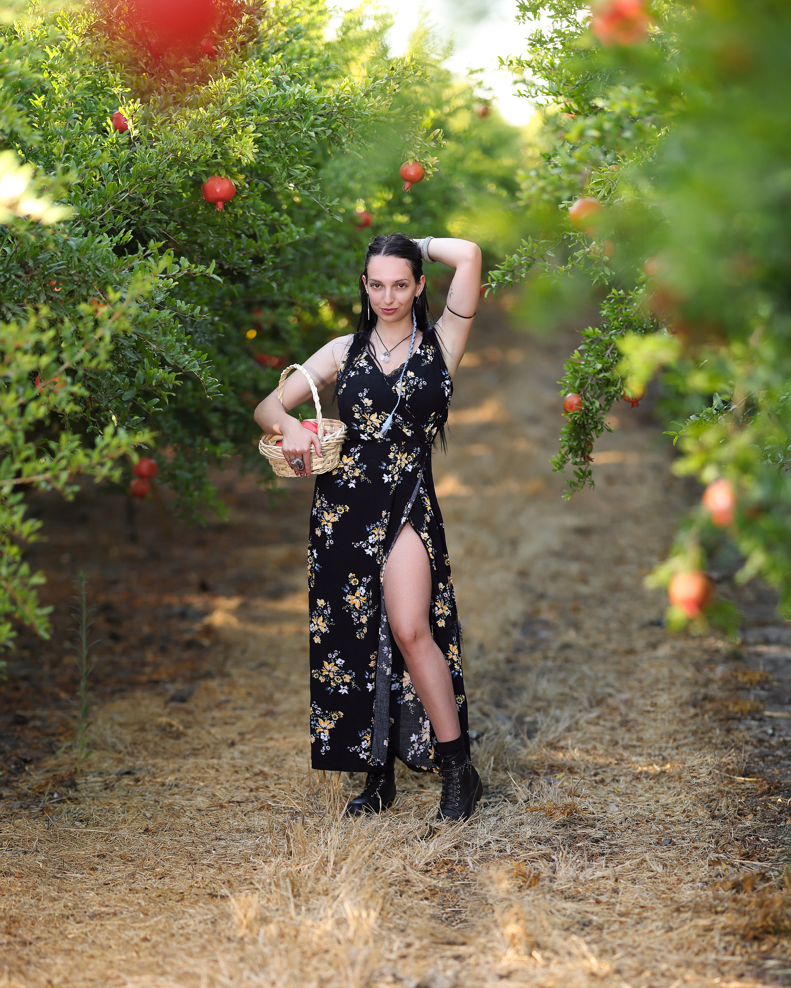 רימון. Time machine Studio