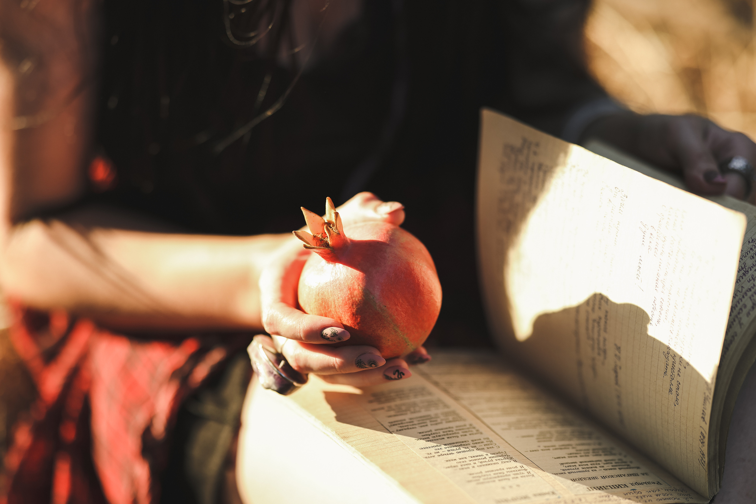 רימון. Time machine Studio