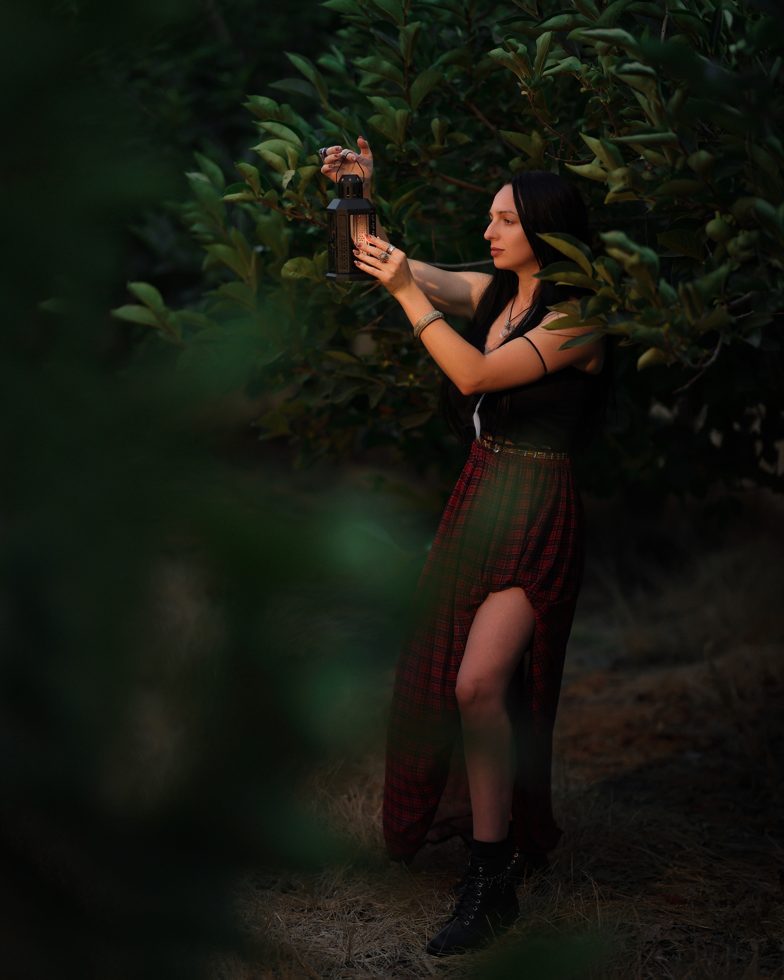 רימון. Time machine Studio