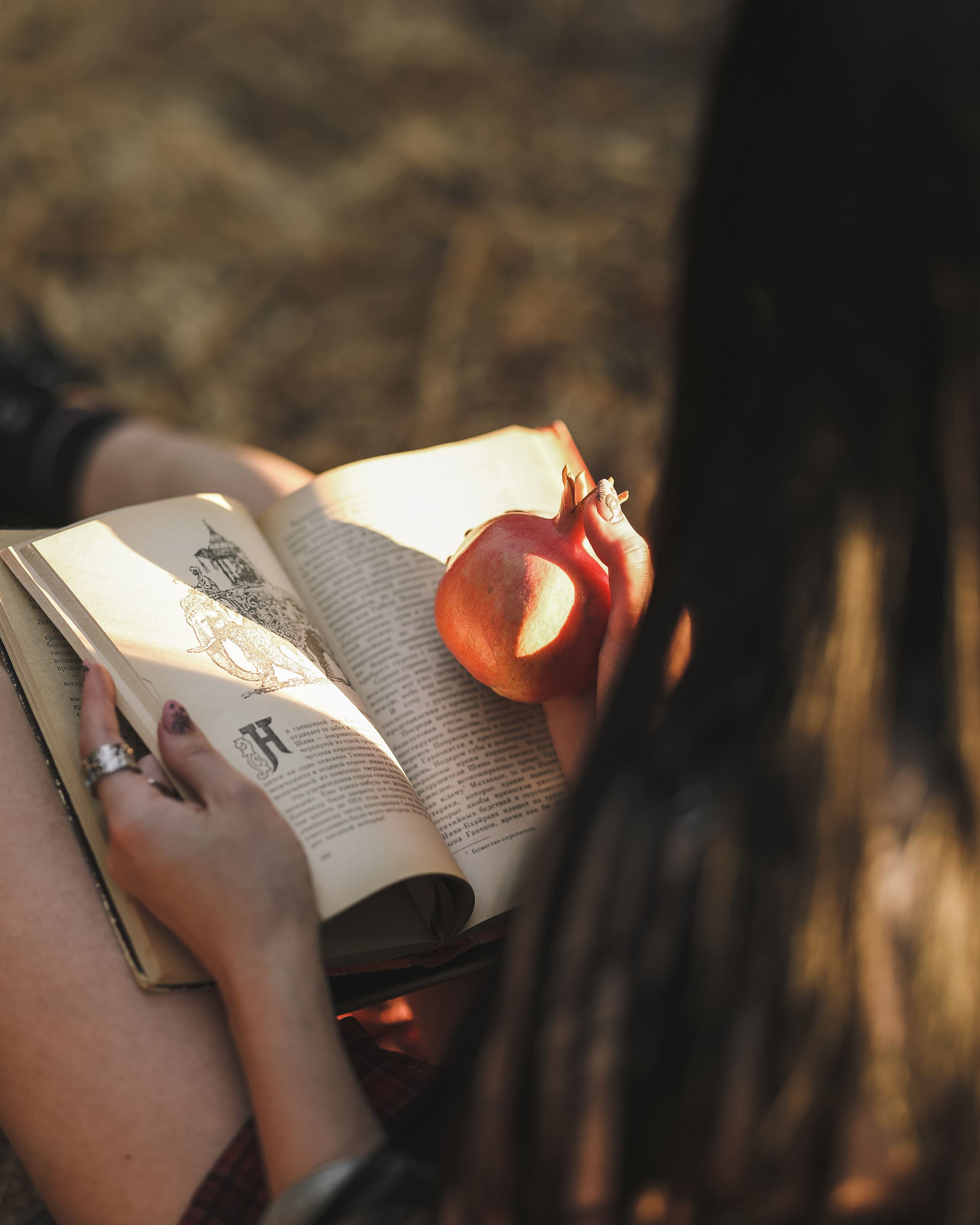 רימון. Time machine Studio