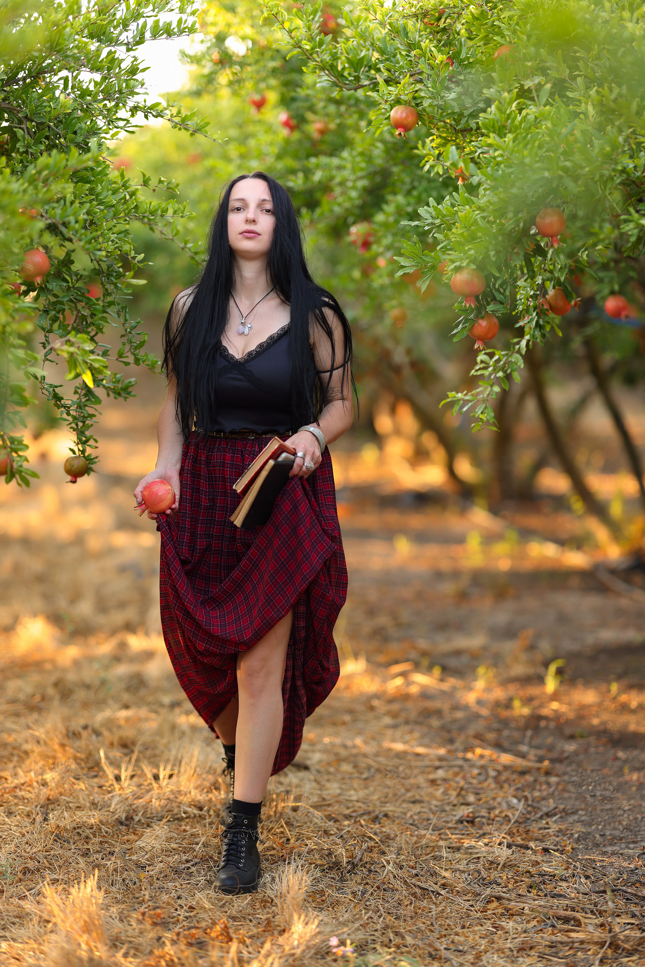 רימון. Time machine Studio