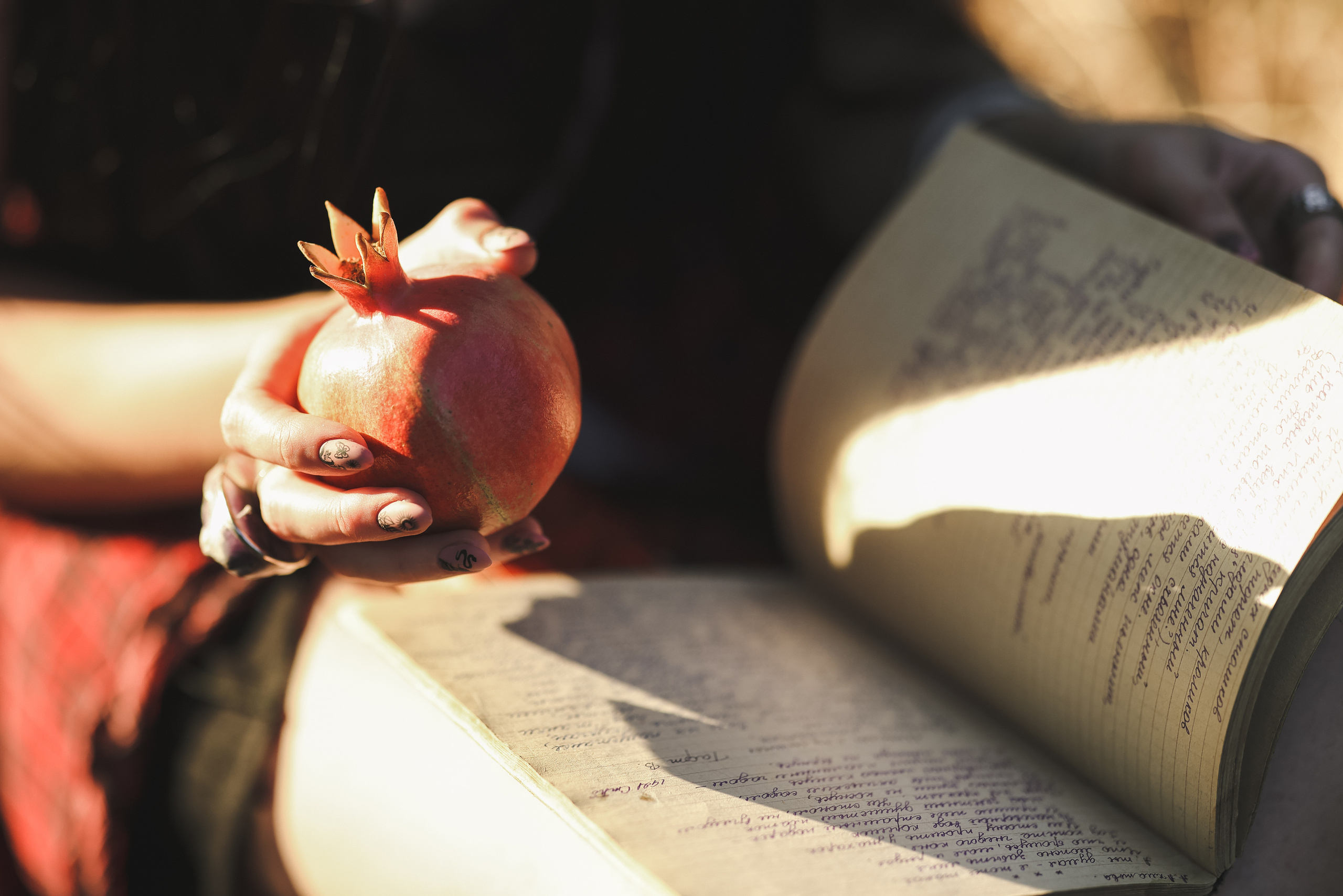 רימון. Time machine Studio