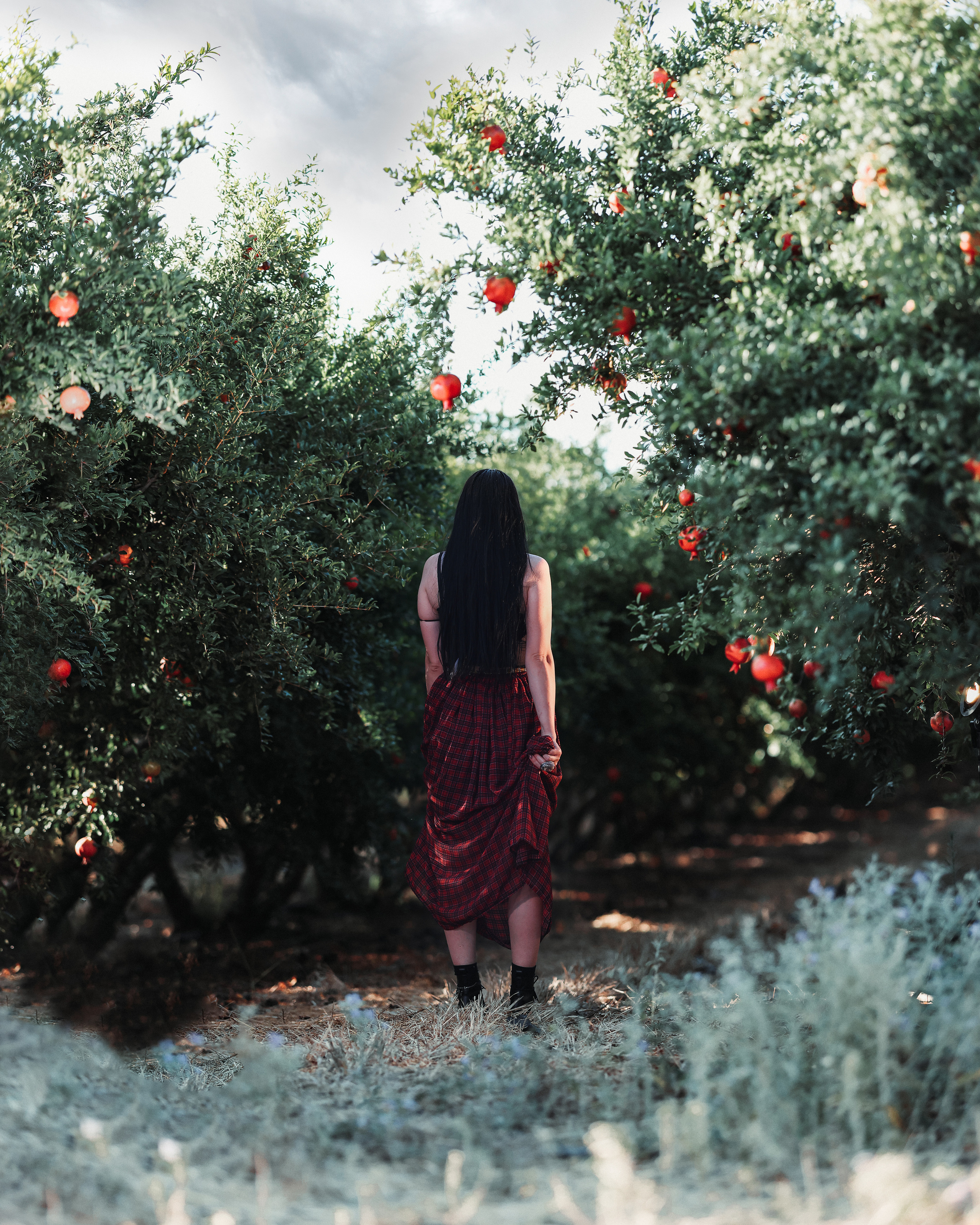 רימון. Time machine Studio