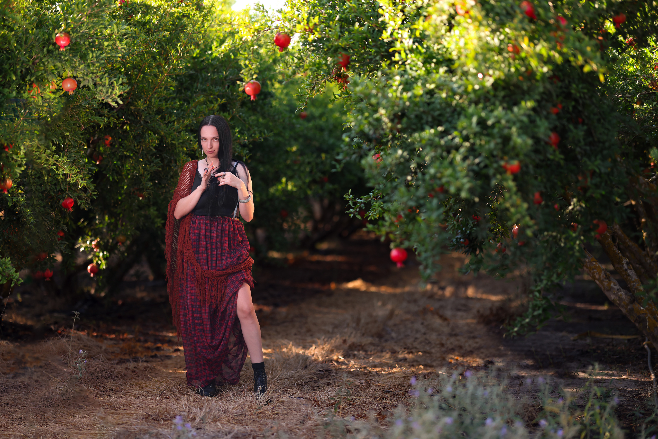 רימון. Time machine Studio