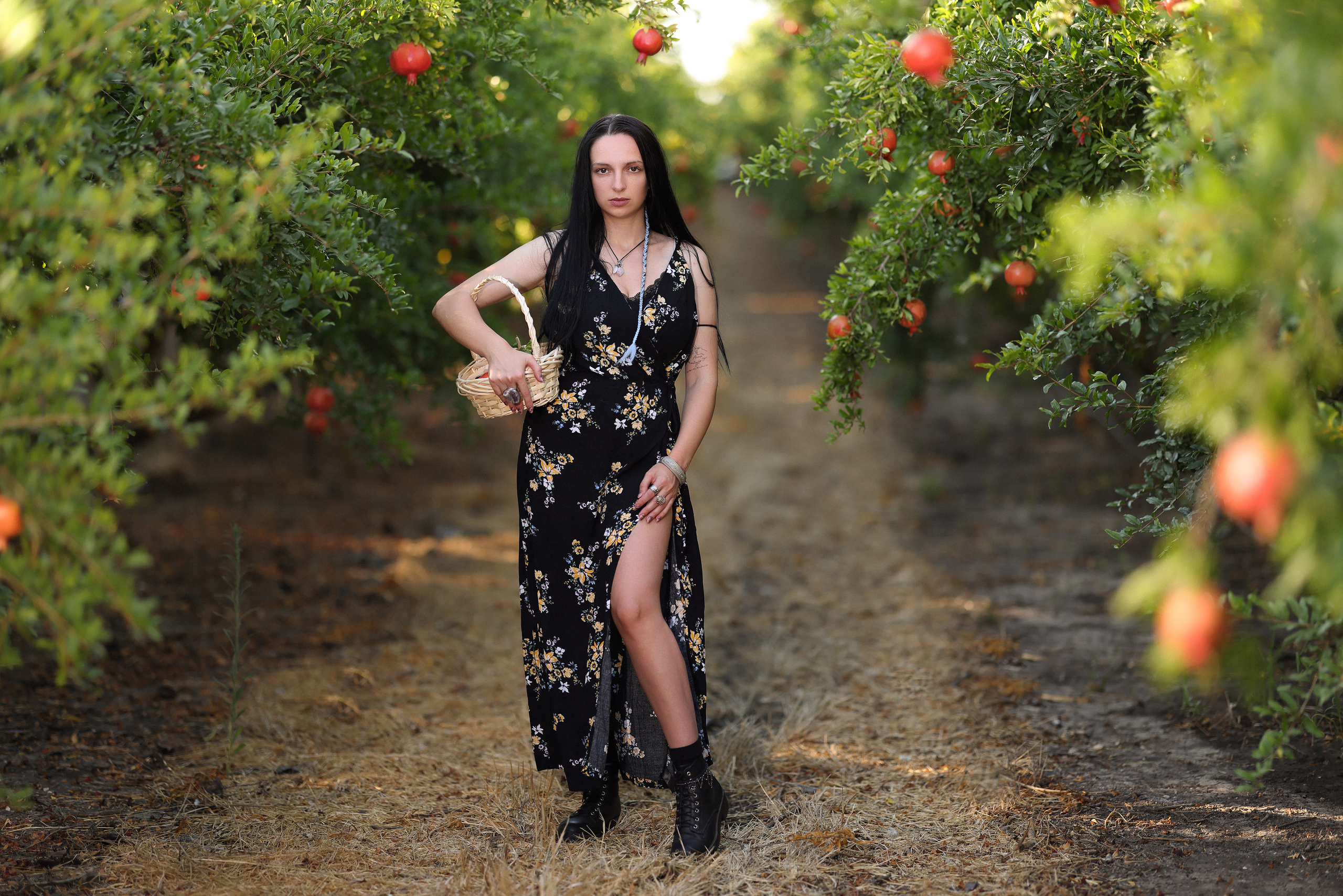 רימון. Time machine Studio