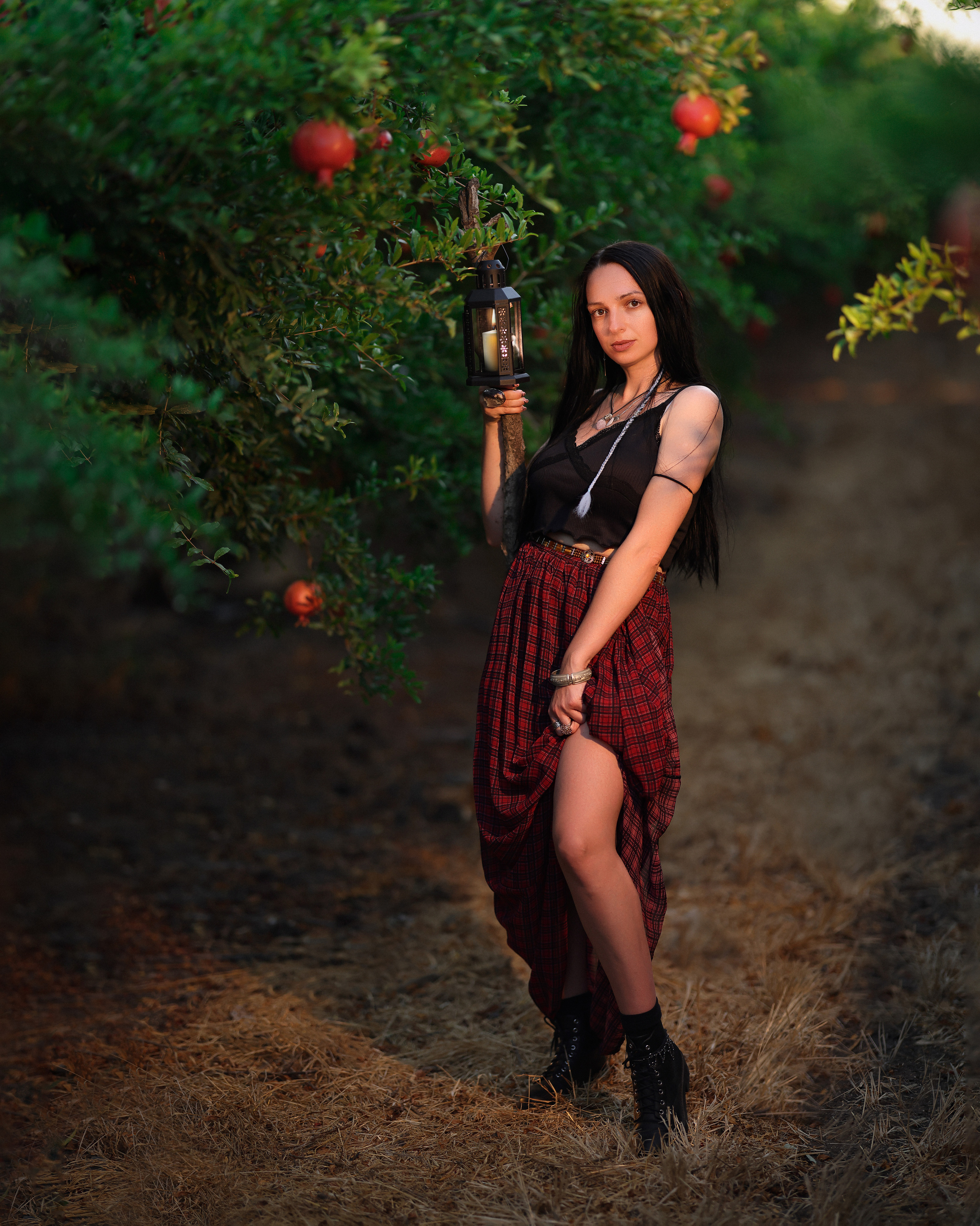 רימון. Time machine Studio