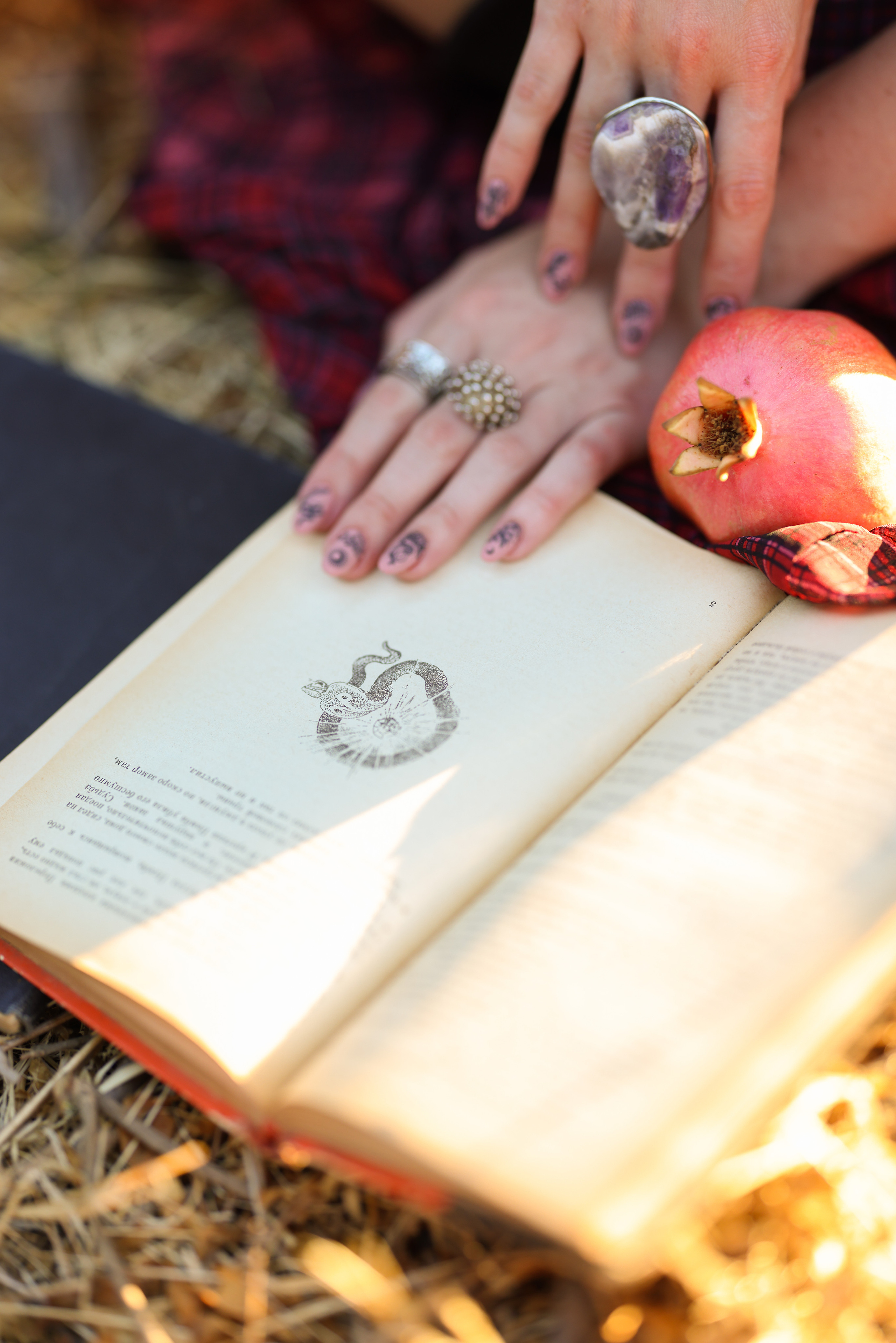 רימון. Time machine Studio