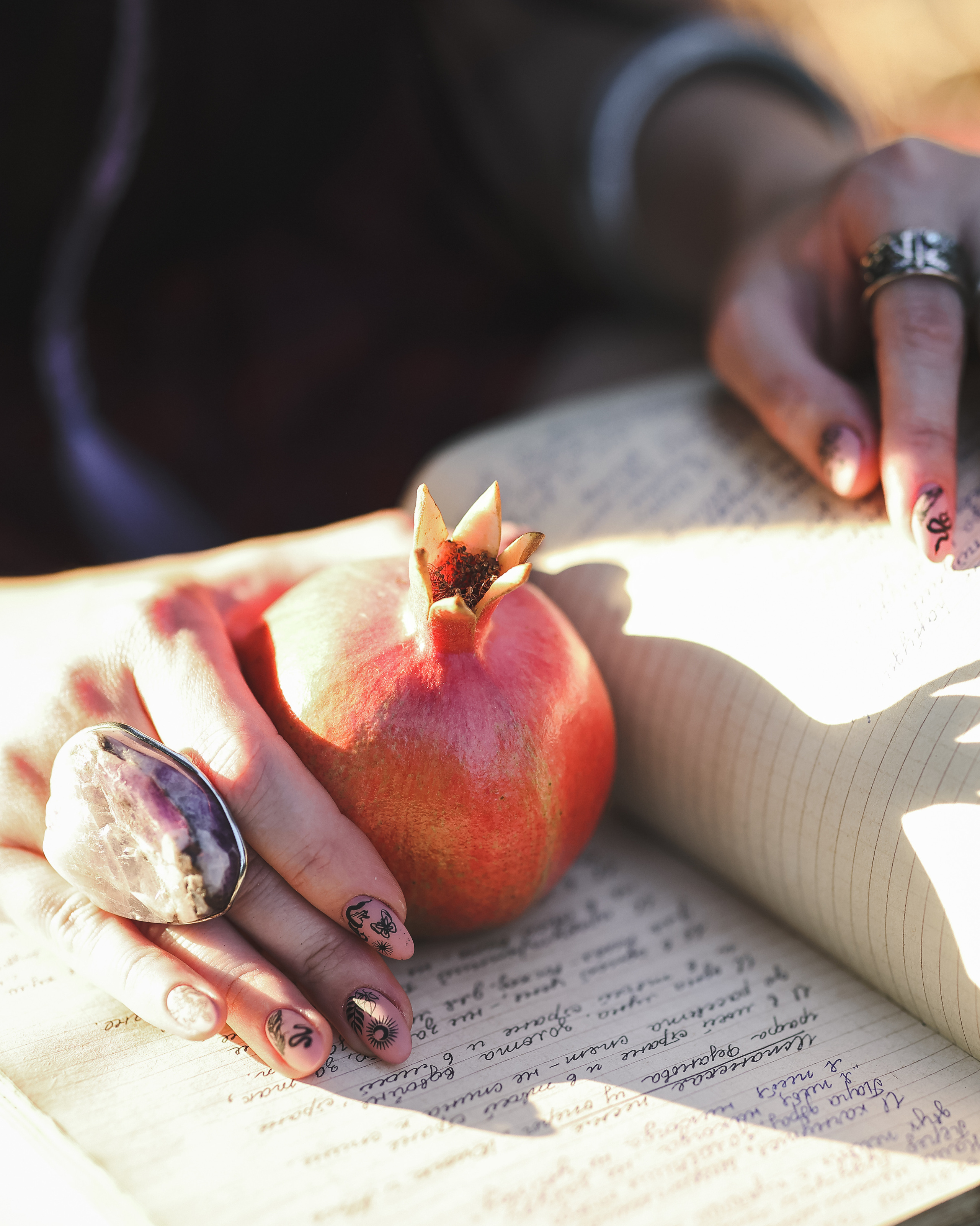 רימון. Time machine Studio