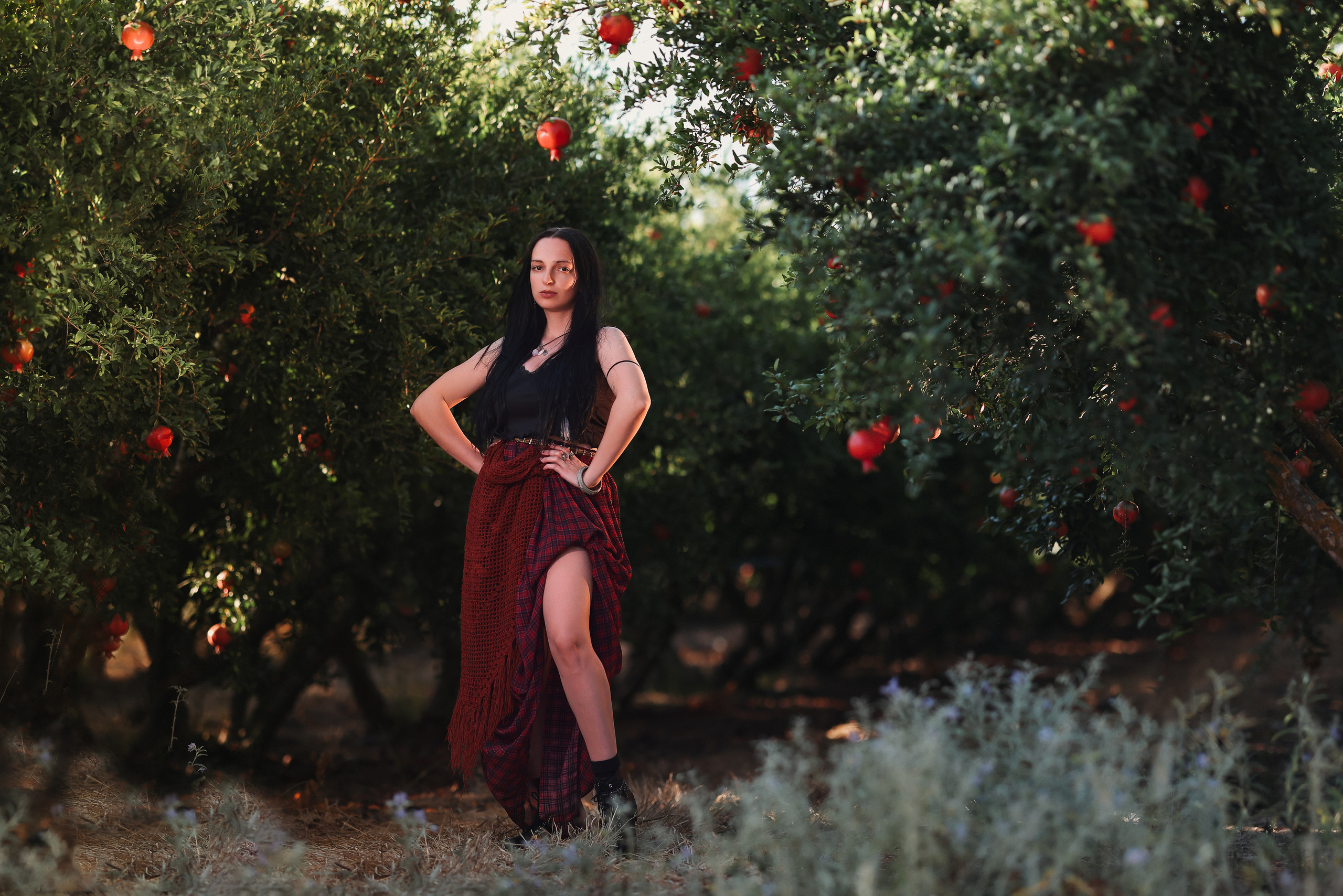 רימון. Time machine Studio