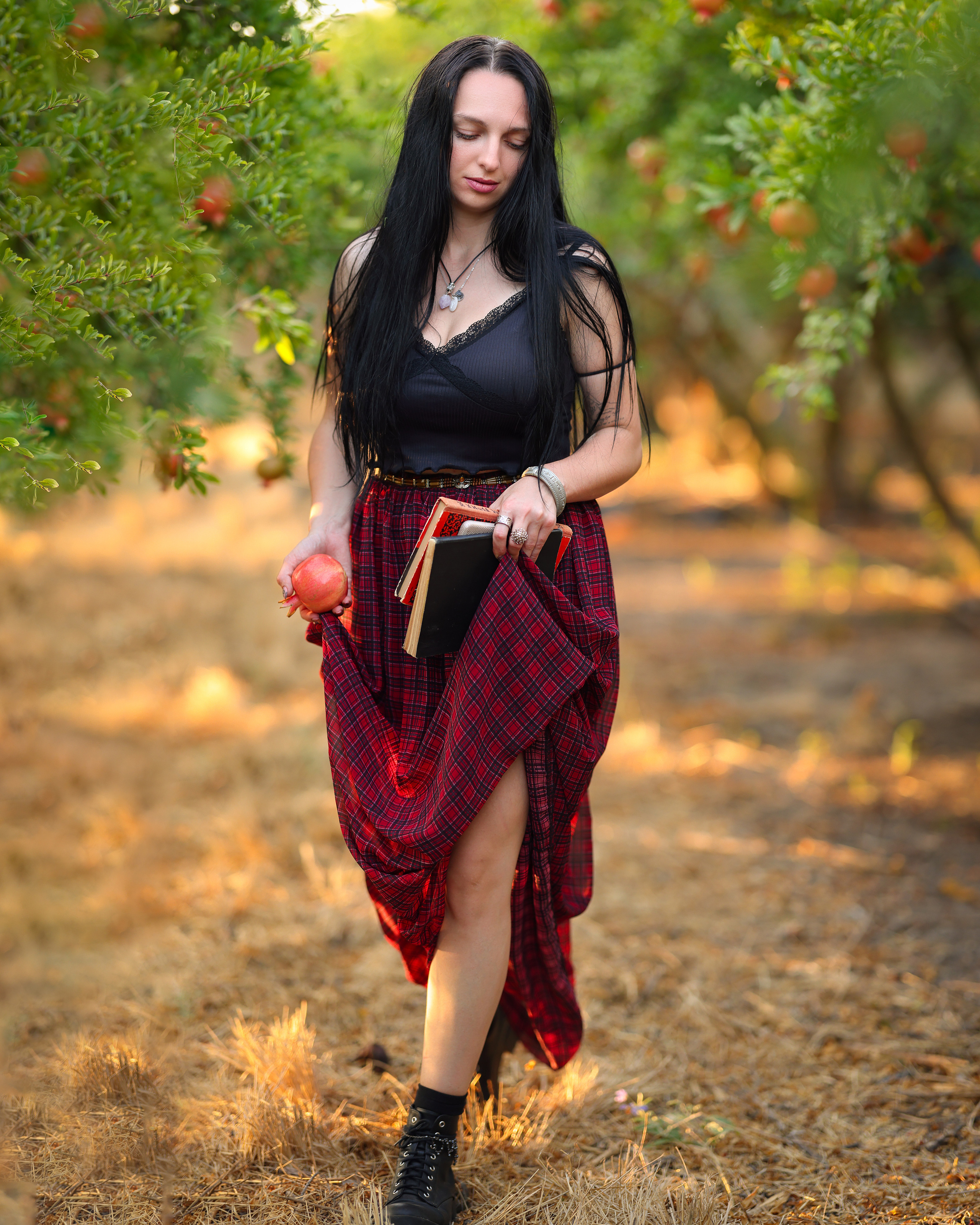 רימון. Time machine Studio