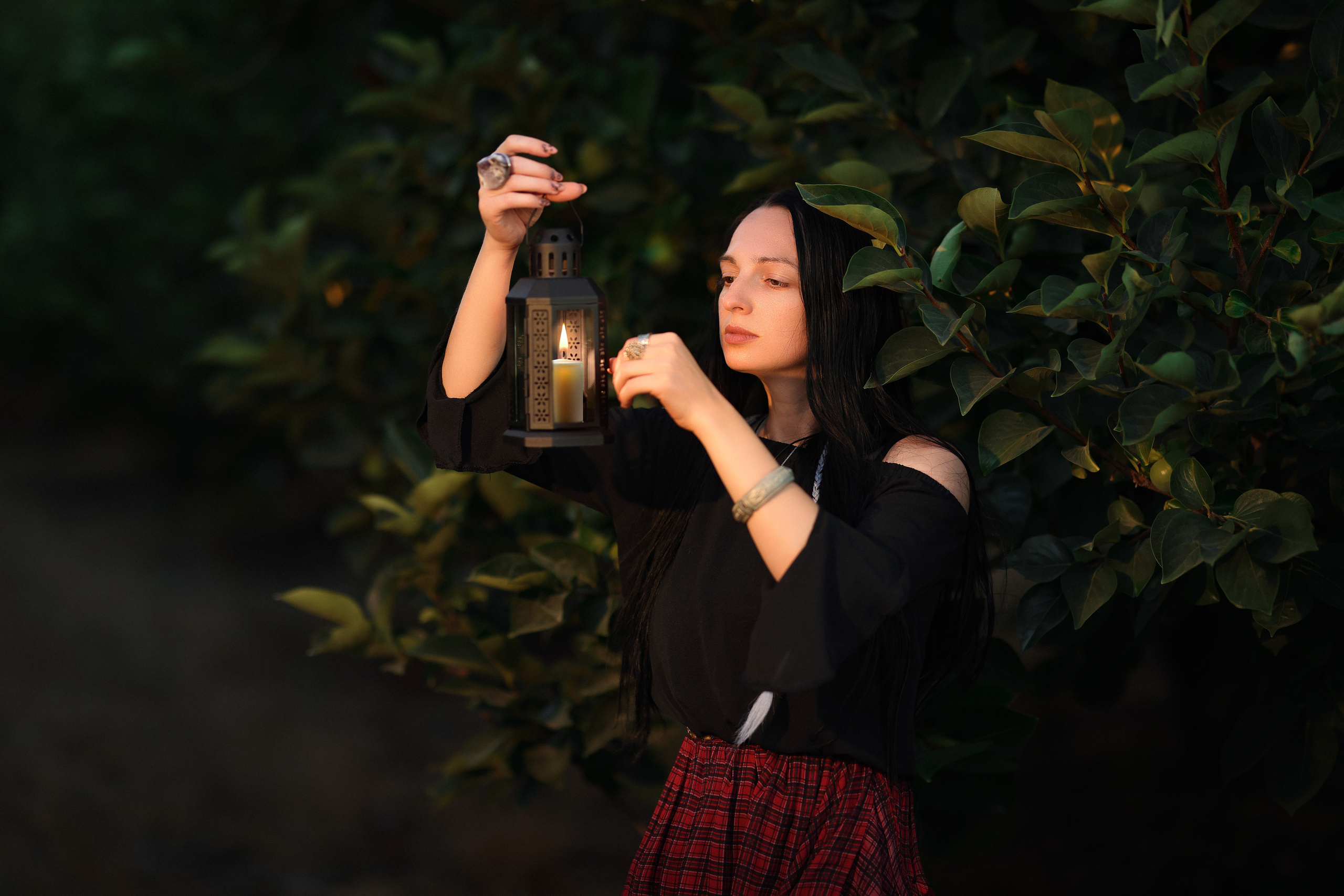 רימון. Time machine Studio