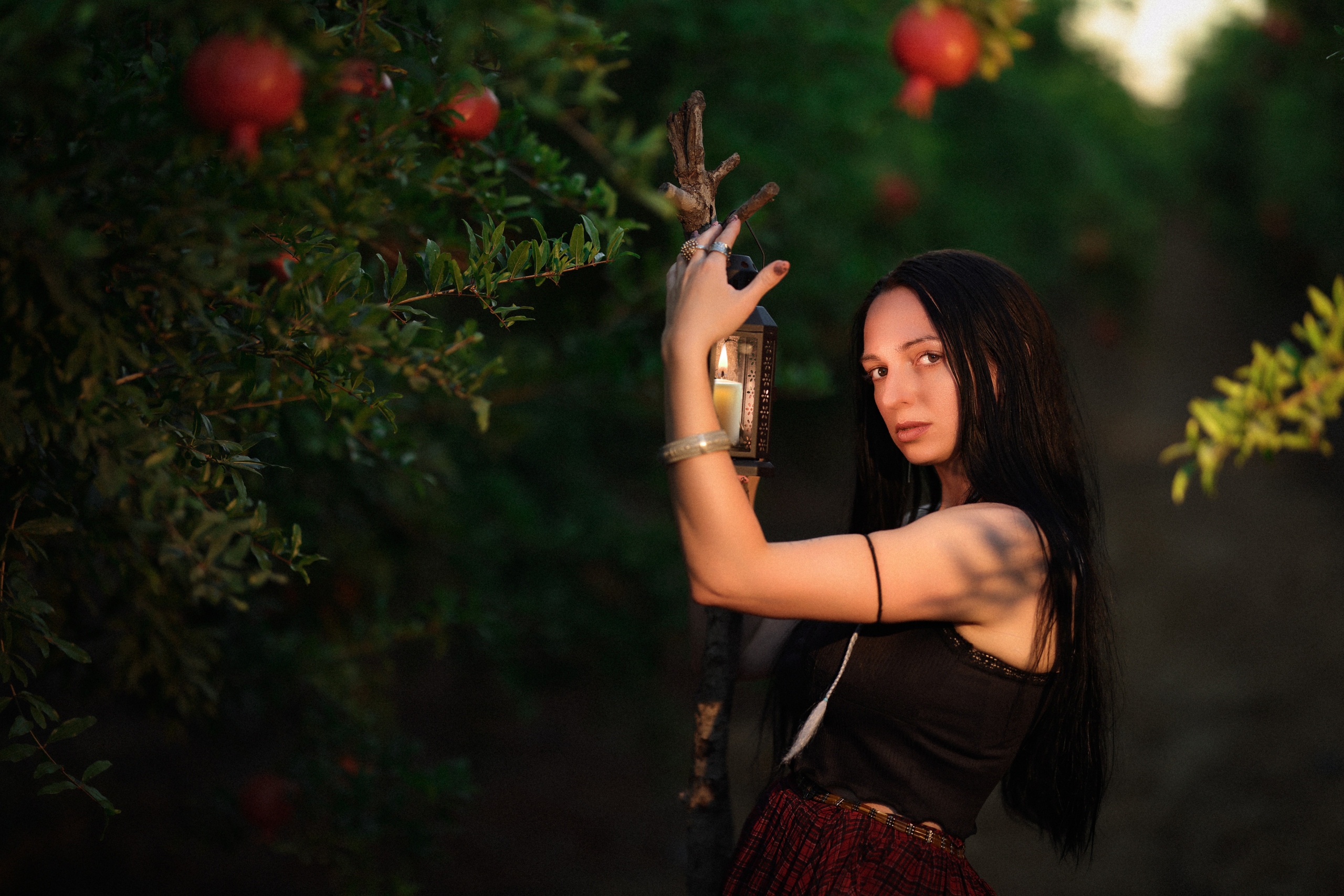 רימון. Time machine Studio