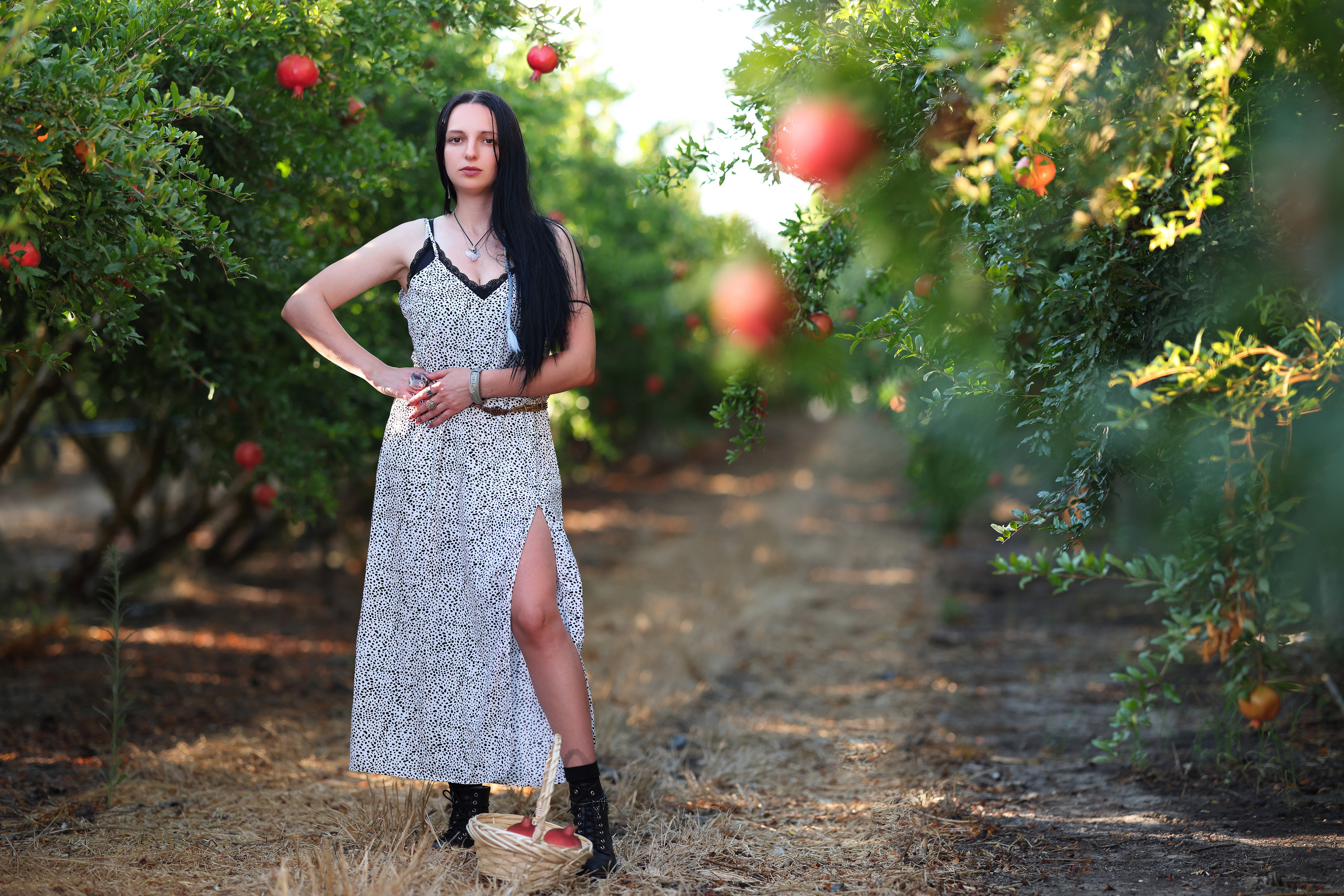 רימון. Time machine Studio