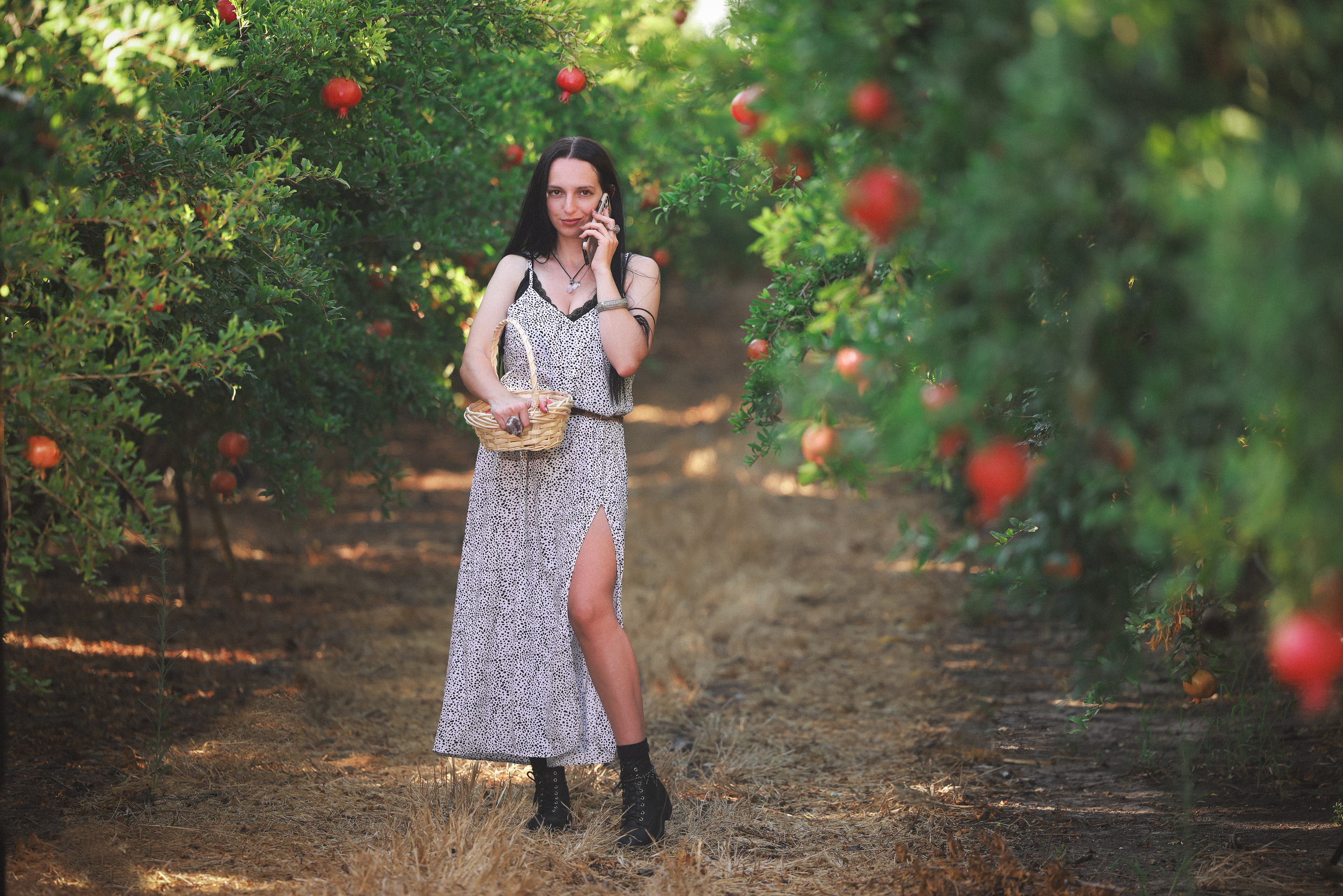 רימון. Time machine Studio