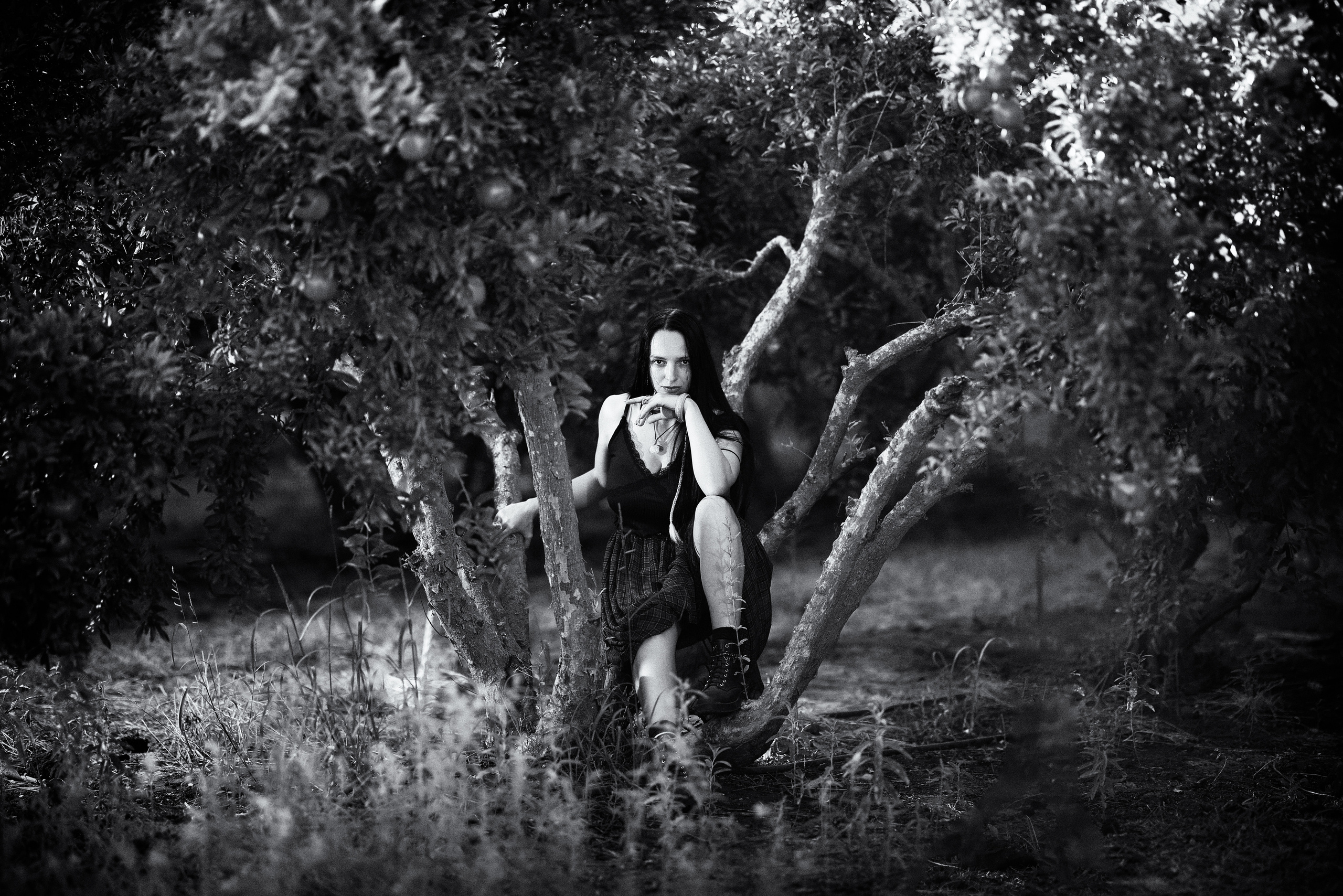 רימון. Time machine Studio