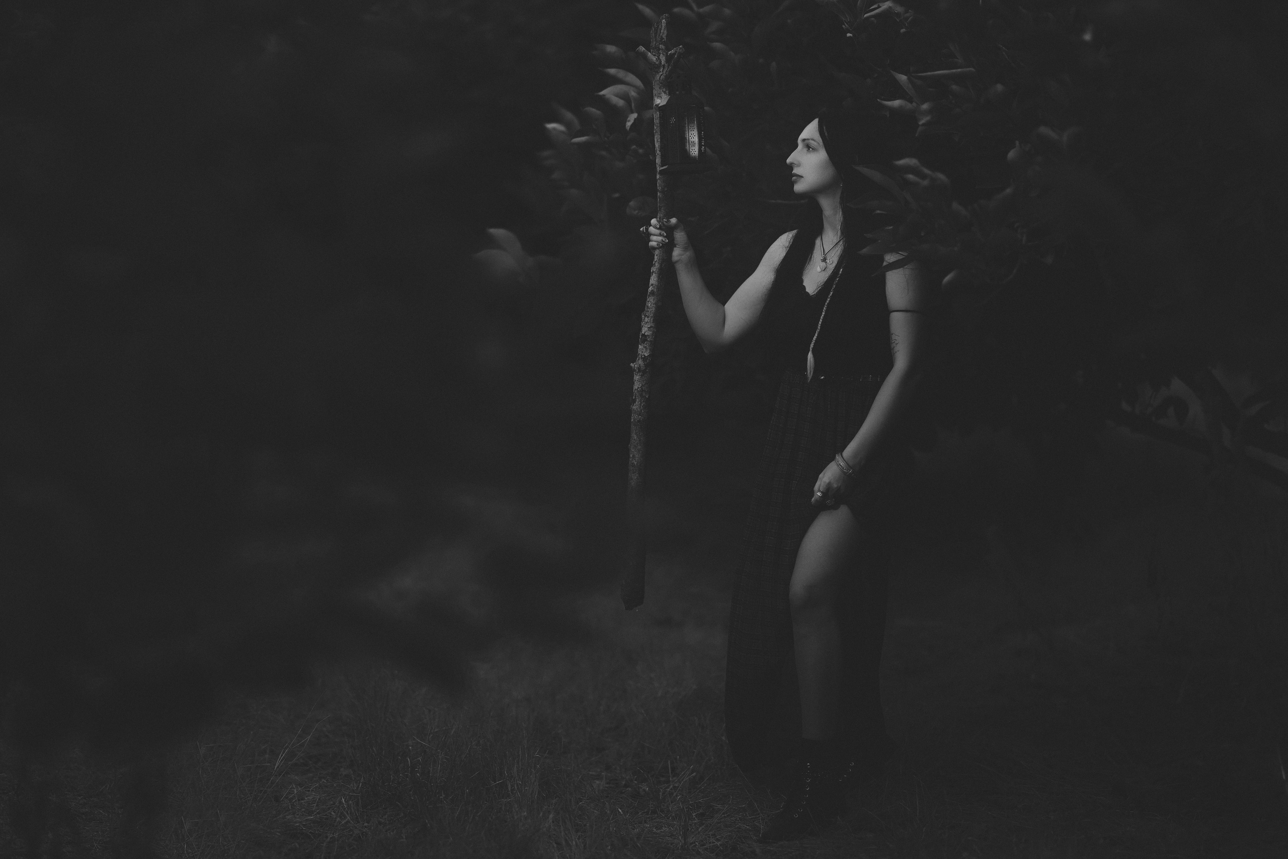 רימון. Time machine Studio