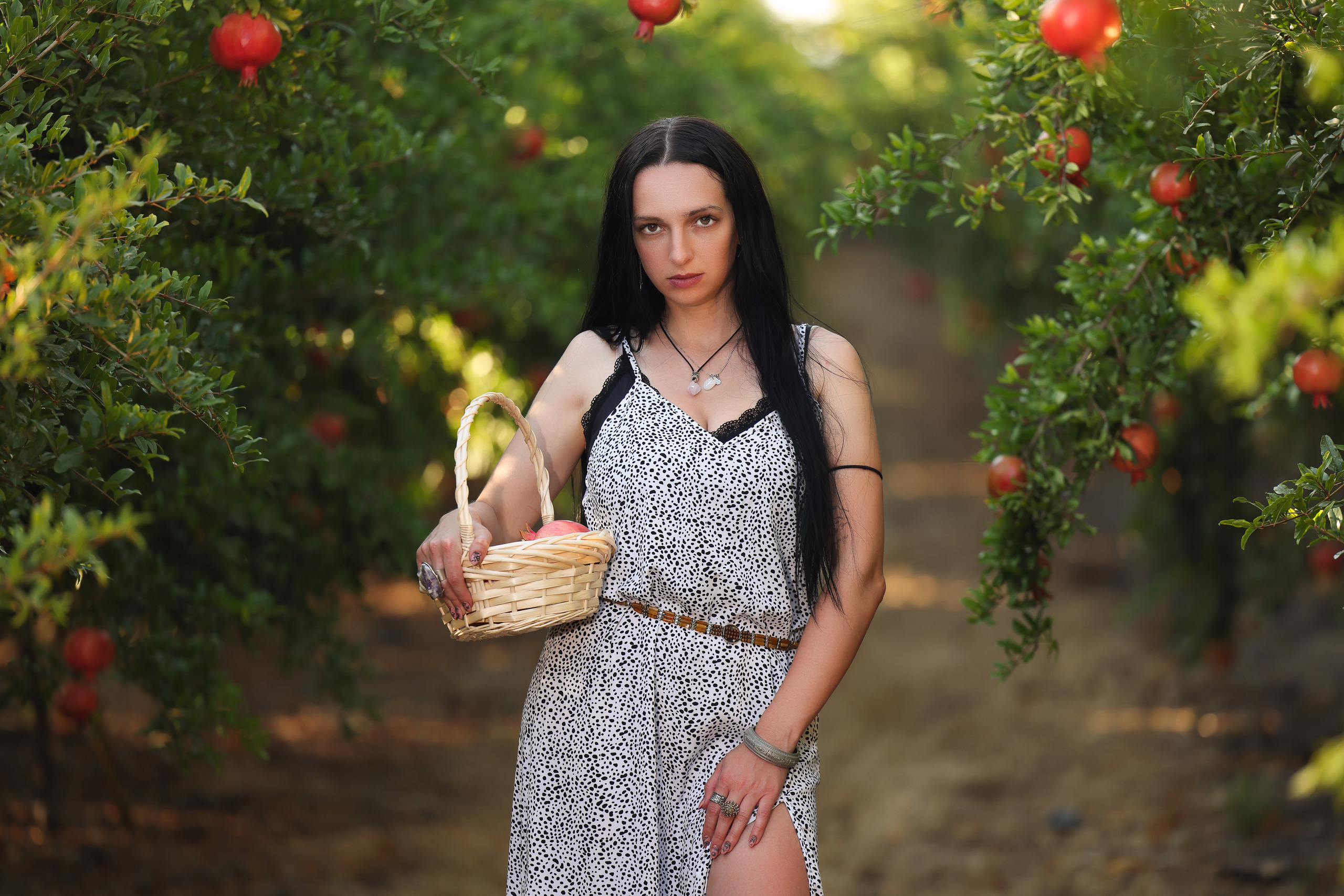 רימון. Time machine Studio