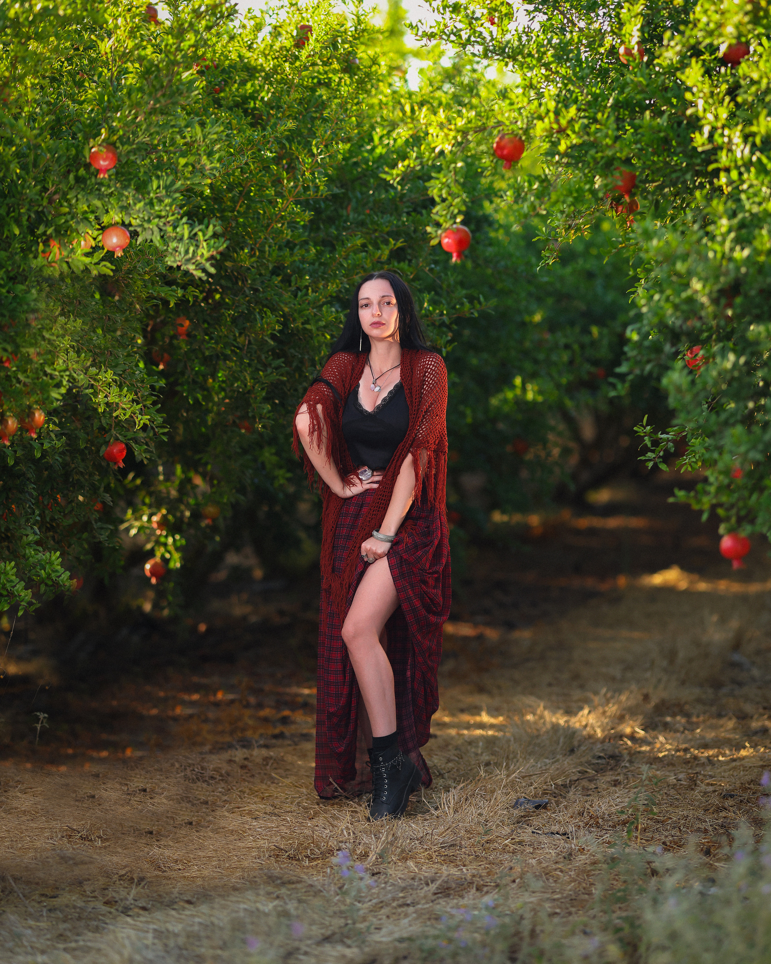 רימון. Time machine Studio