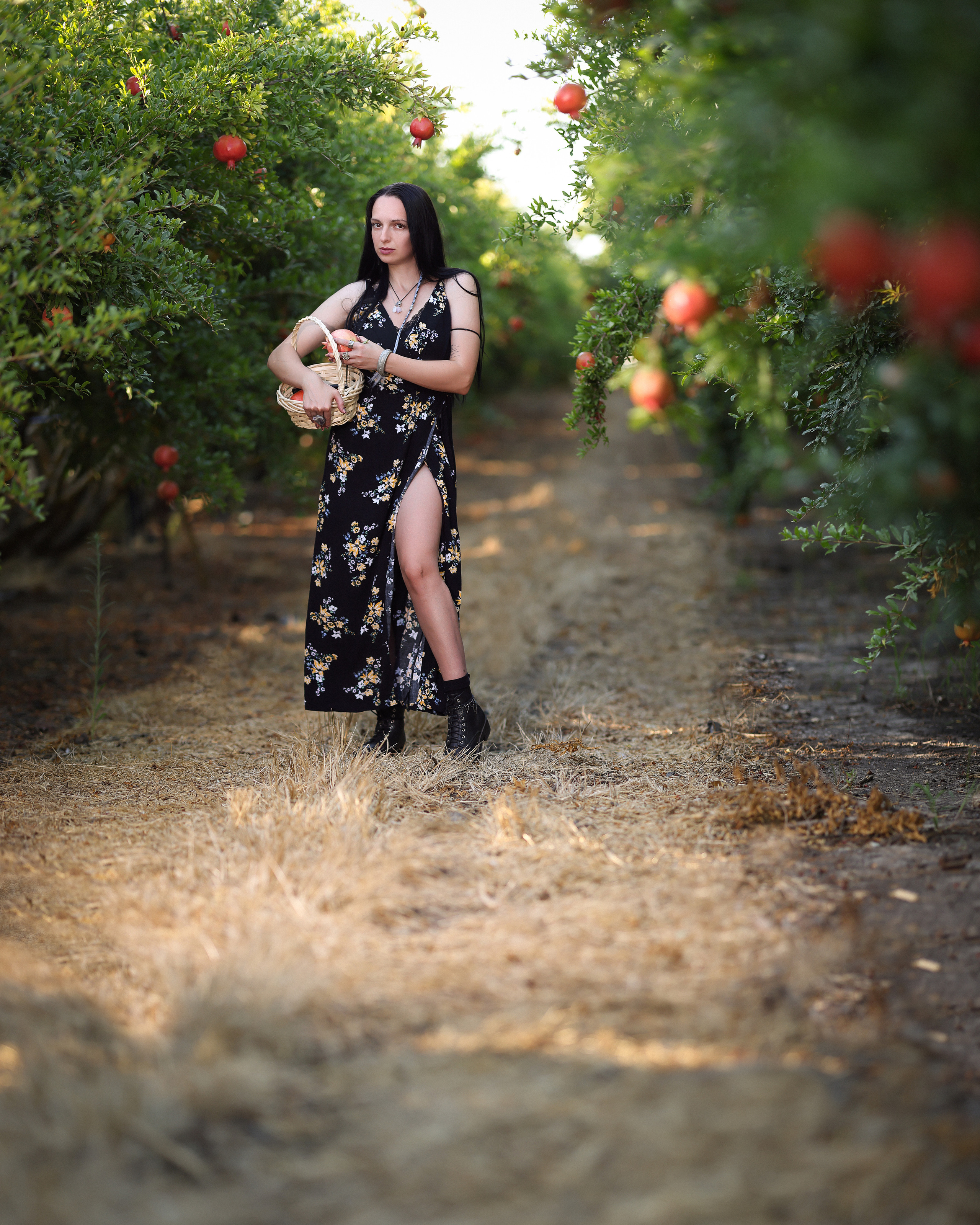 רימון. Time machine Studio