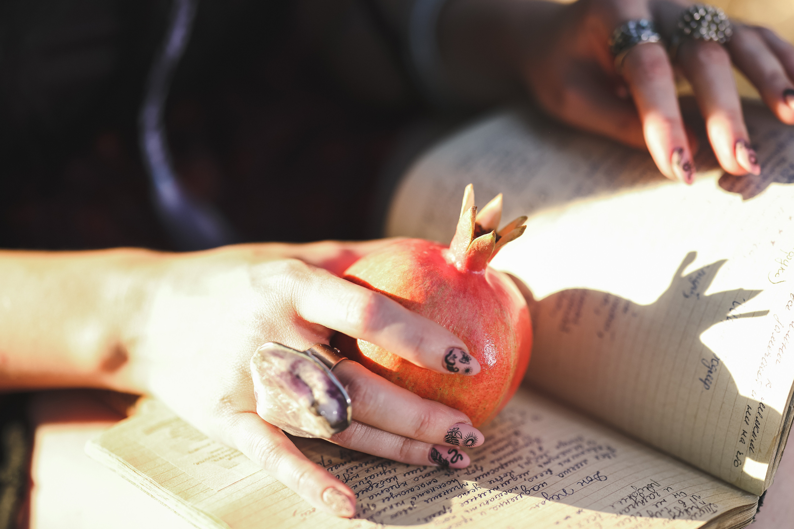 רימון. Time machine Studio