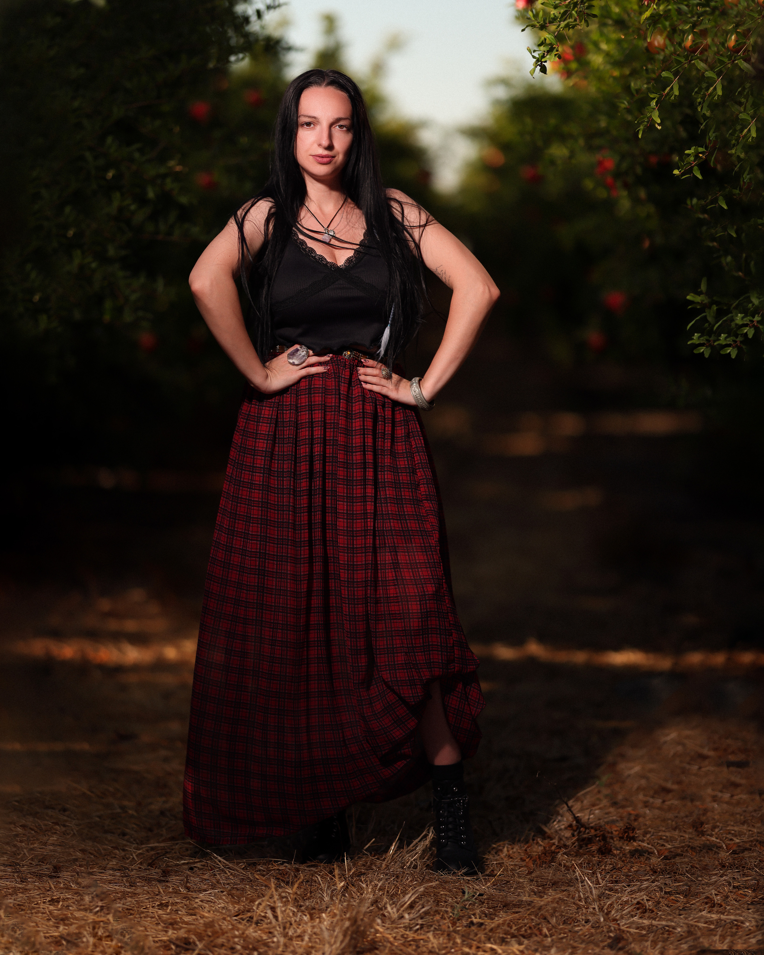 רימון. Time machine Studio