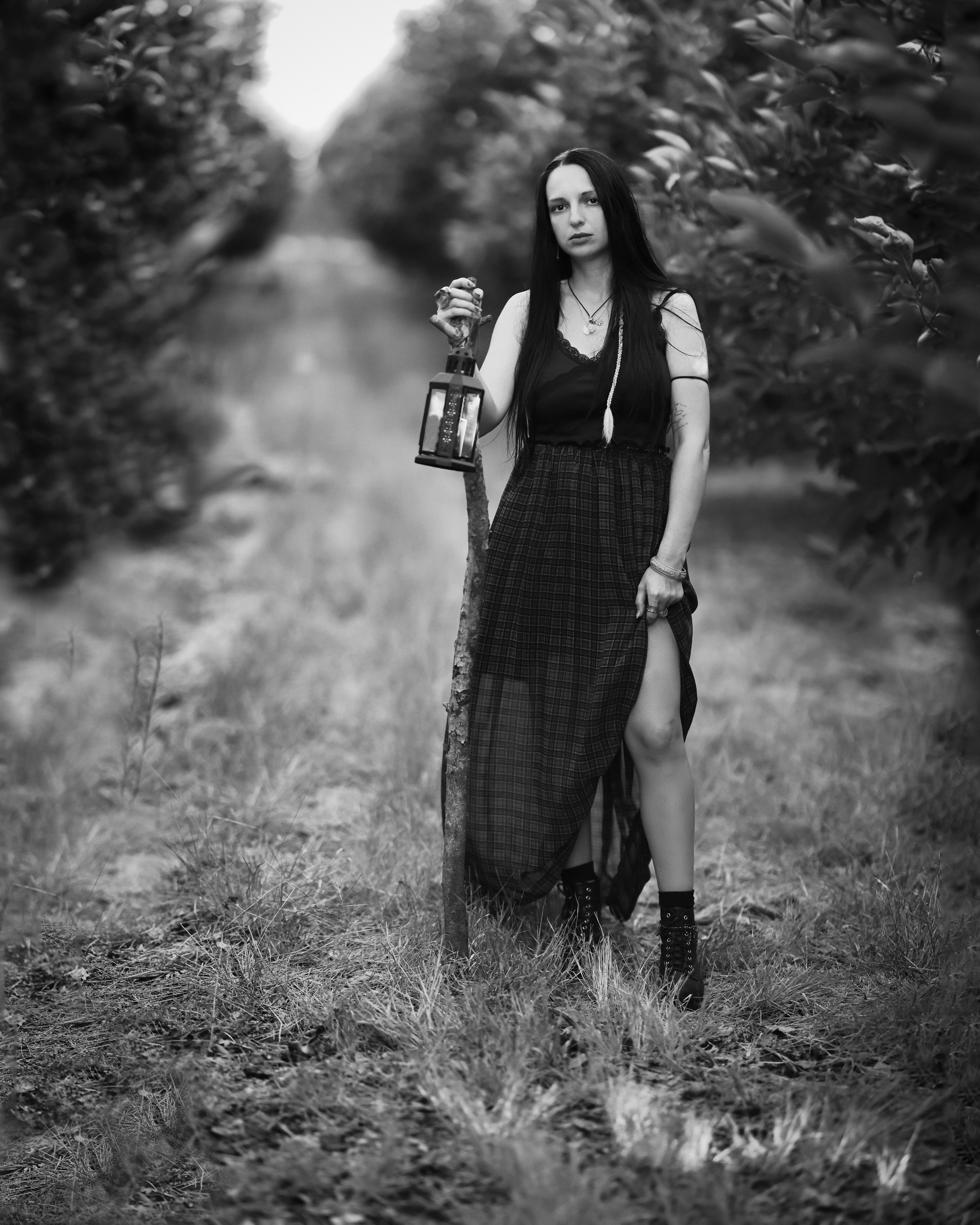 רימון. Time machine Studio