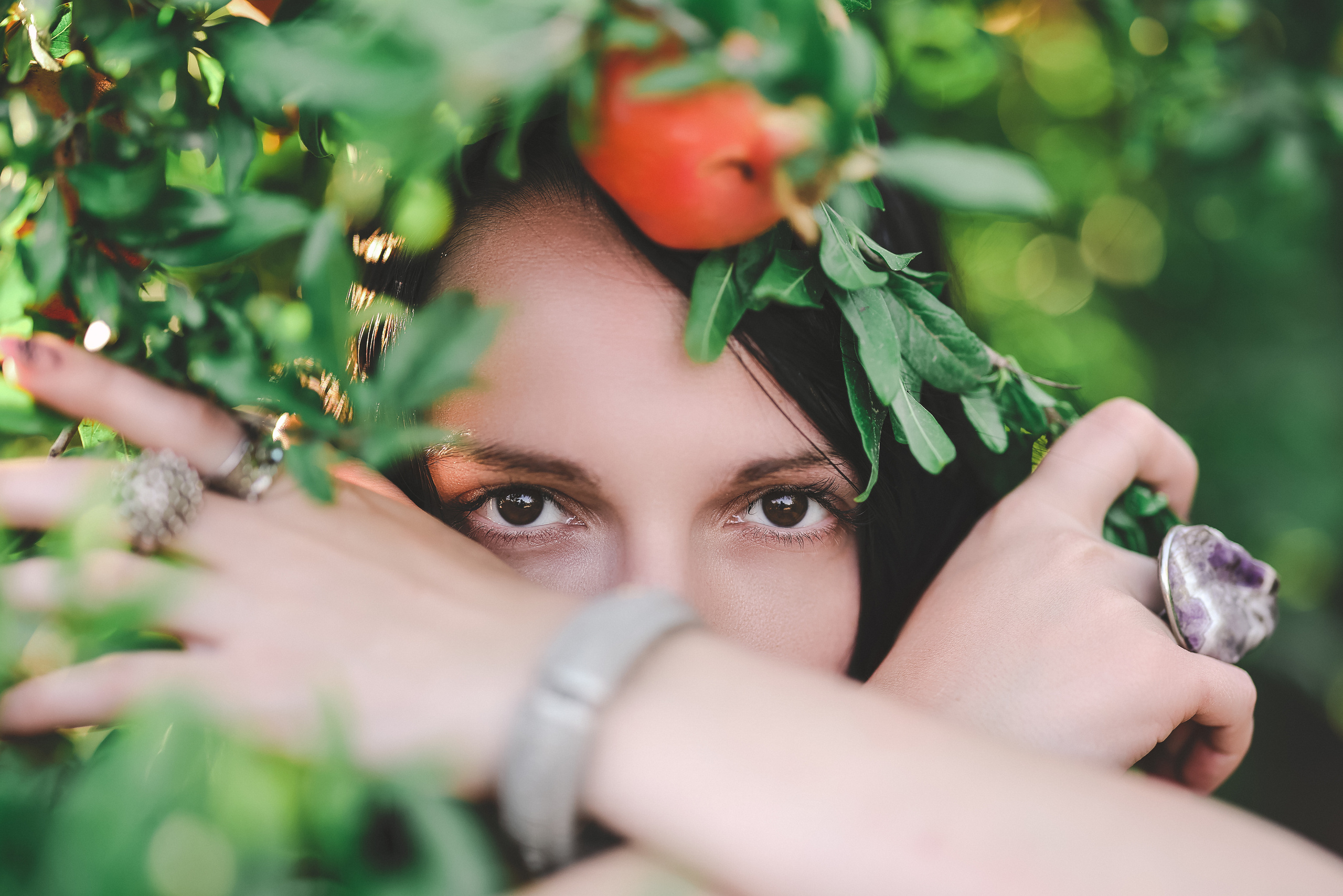 רימון. Time machine Studio