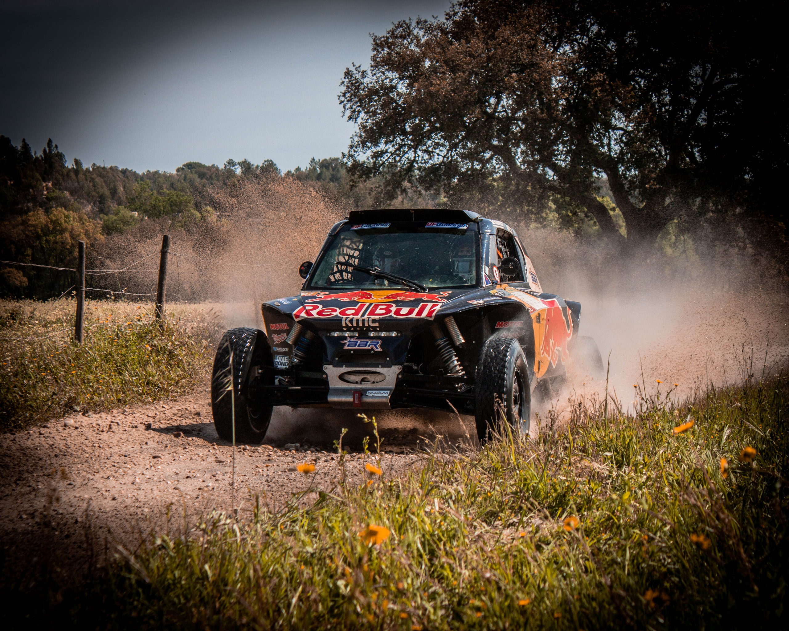 #307 Sébastien Loeb / Fabian Lurquin