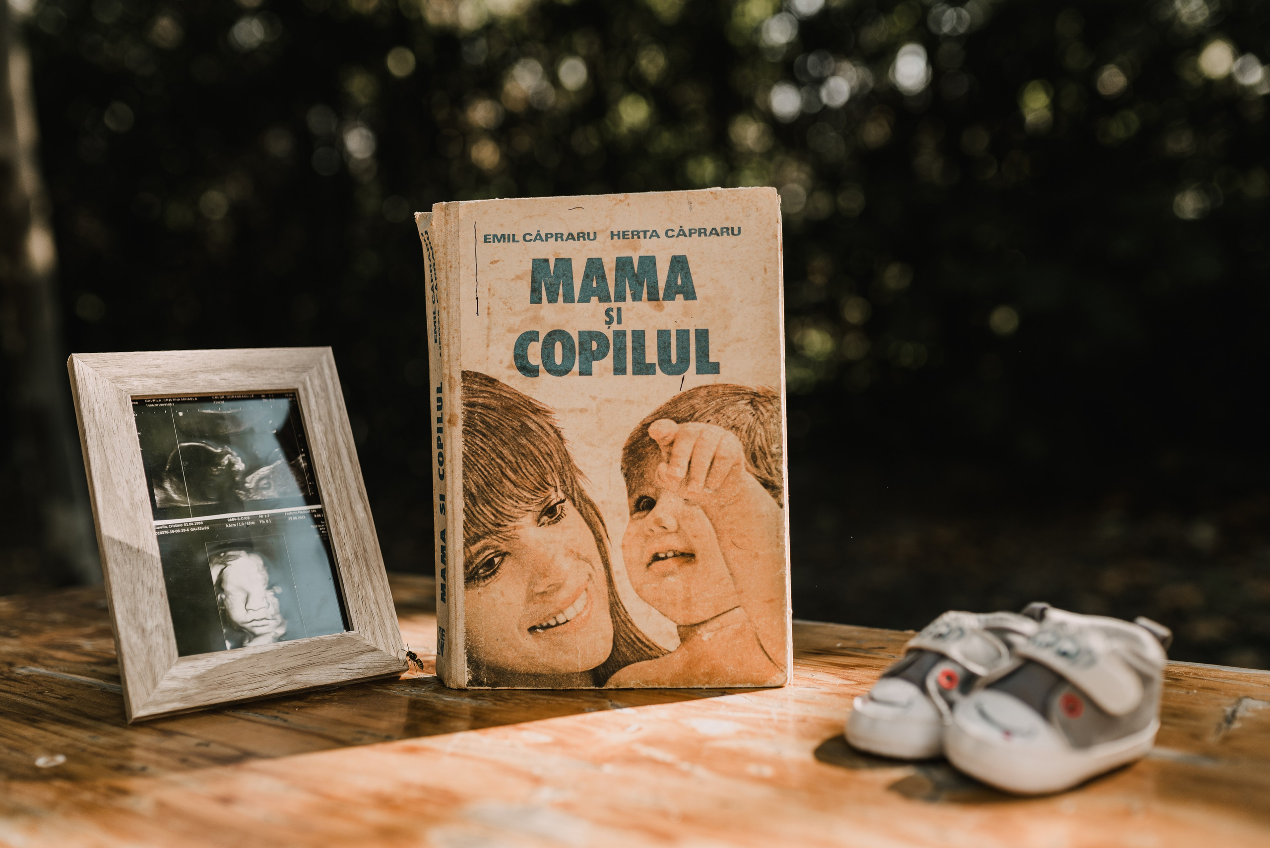 Cristina. Giani Maftei