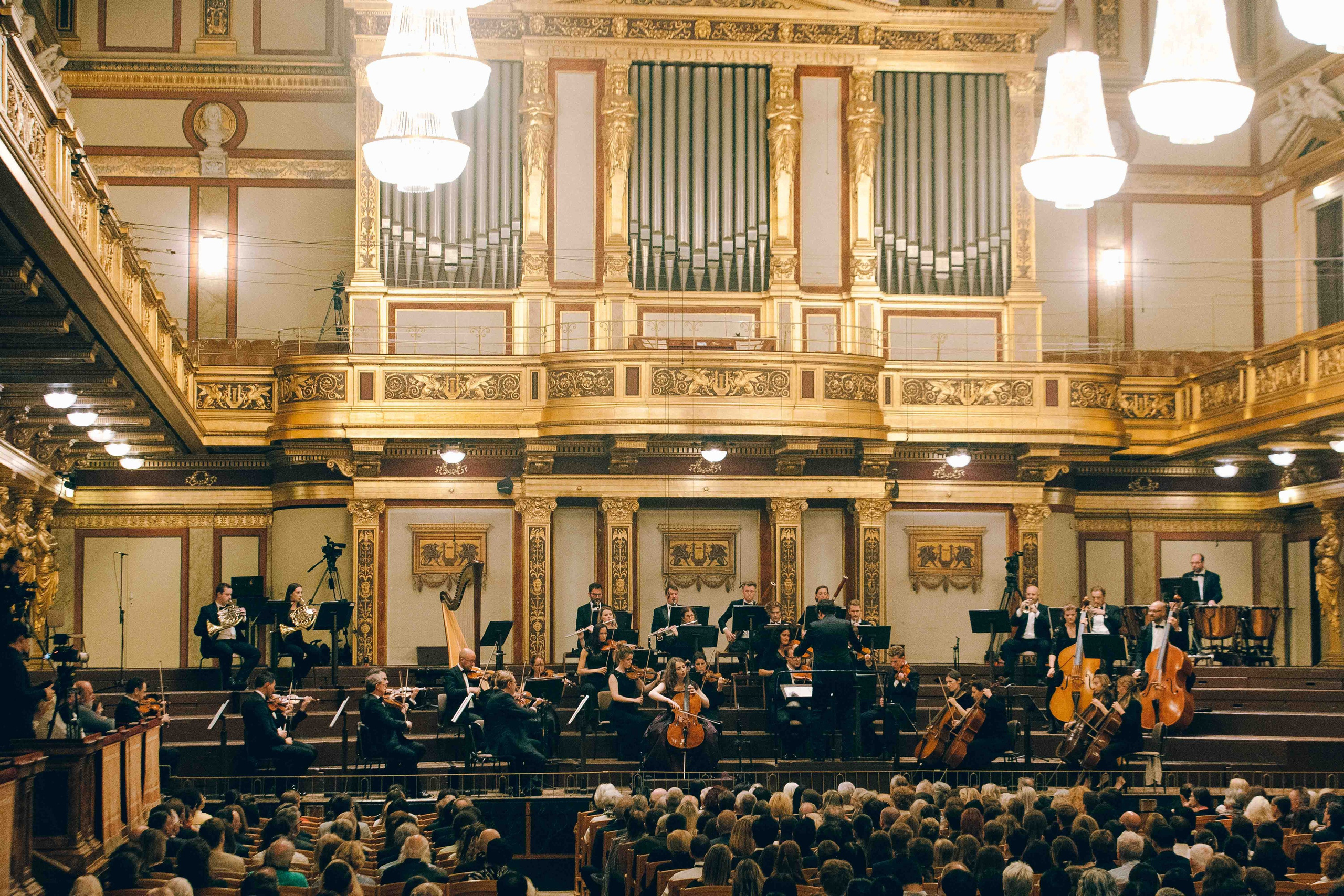 MUSIKVEREIN (VIENNA). Wedding&Event photographer Ismail Rzayev in Baku