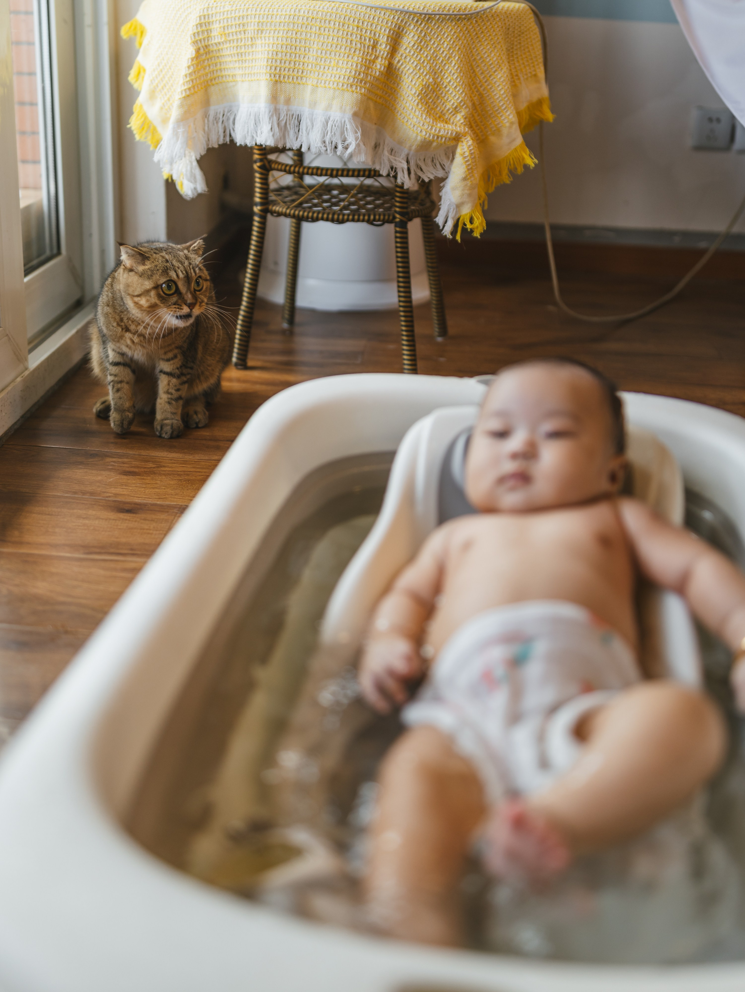 Photos of pets. Shanghai Family Photographer Dora