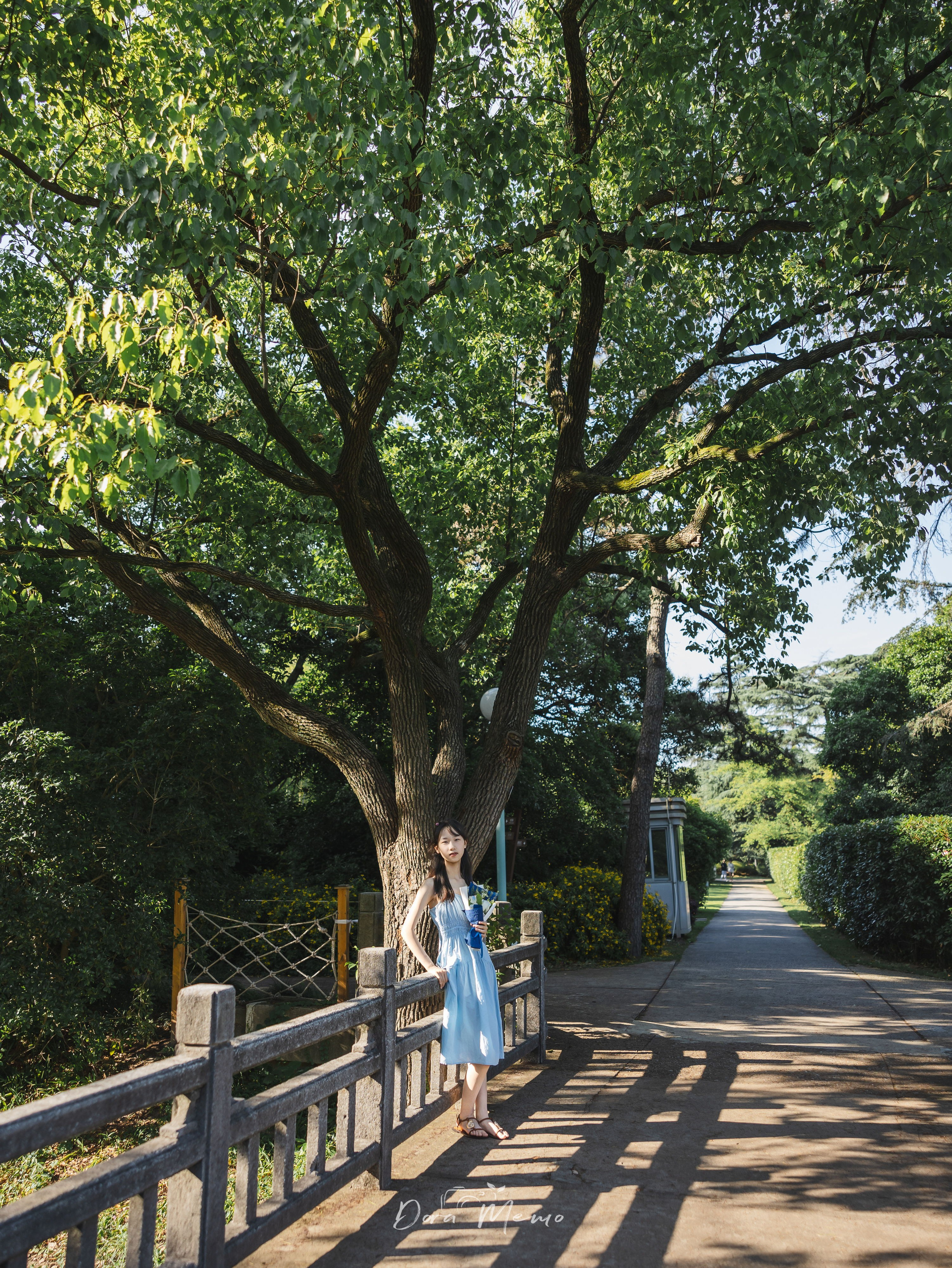 Standing beside a large tree, holding flowers, front light | A teenage girl standing by a tree holding a bouquet, natural and calm