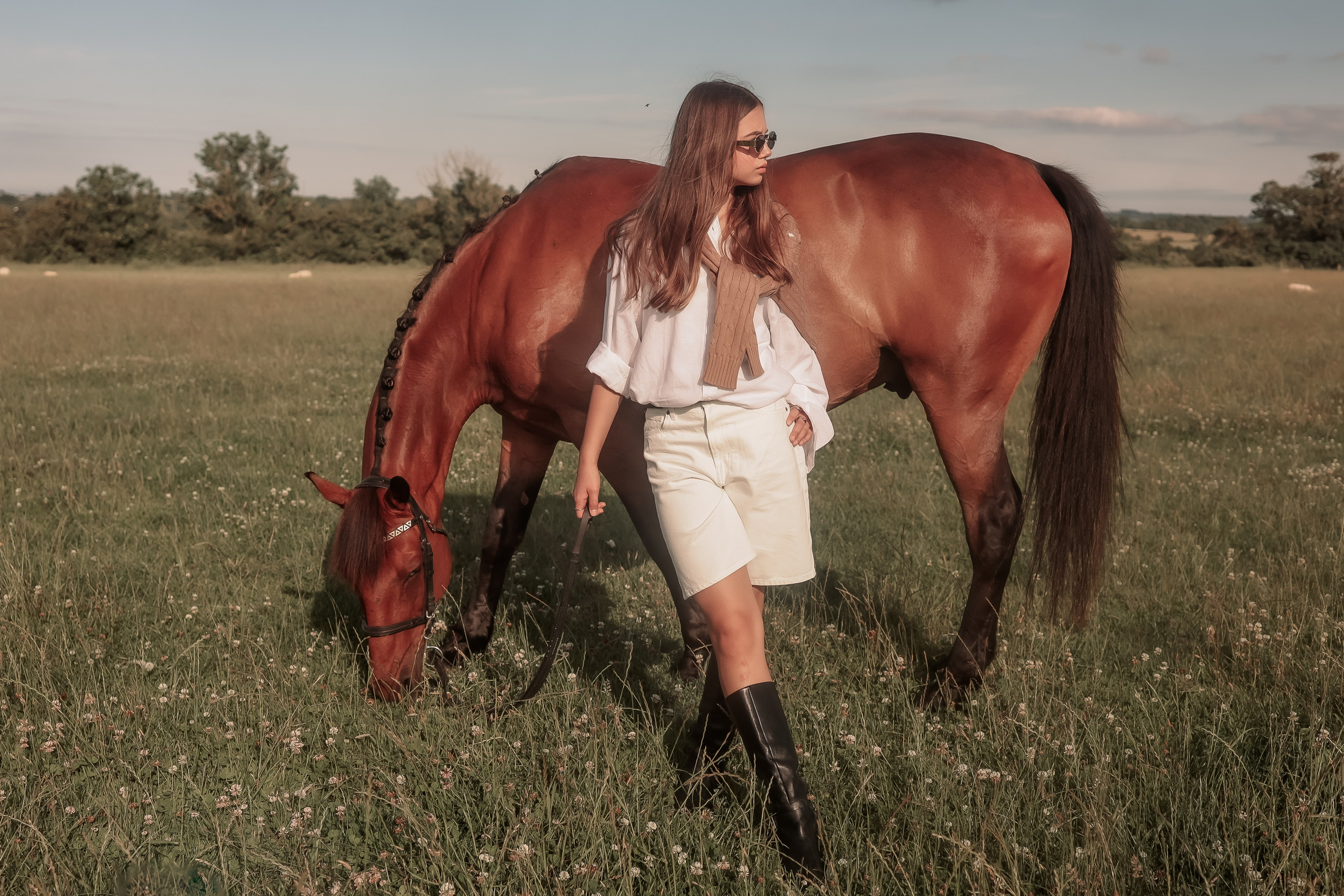 Among the Horses. Photographer Co Dublin, Balbriggan — Agata Maliseva